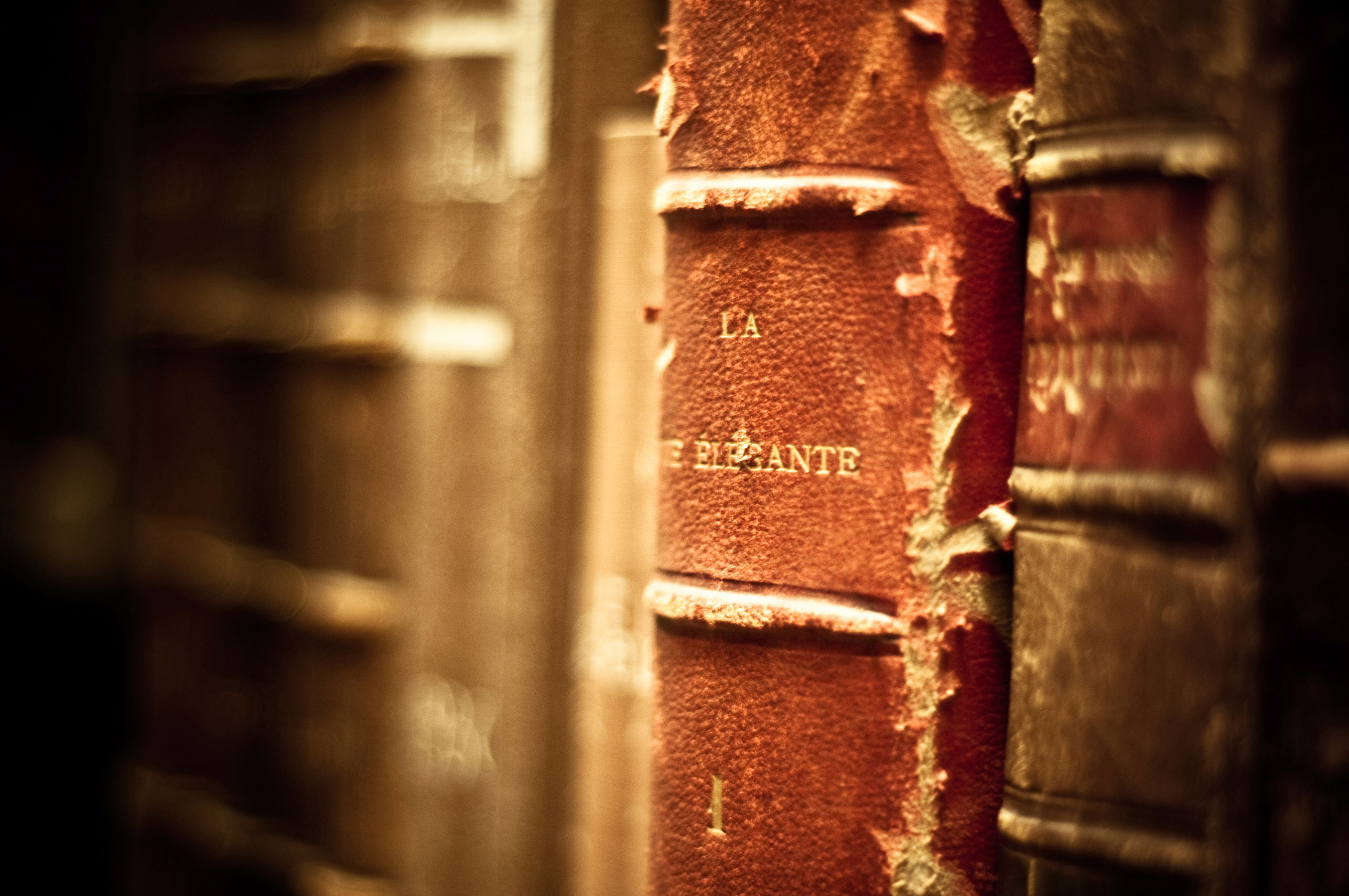 Akashic Diaries