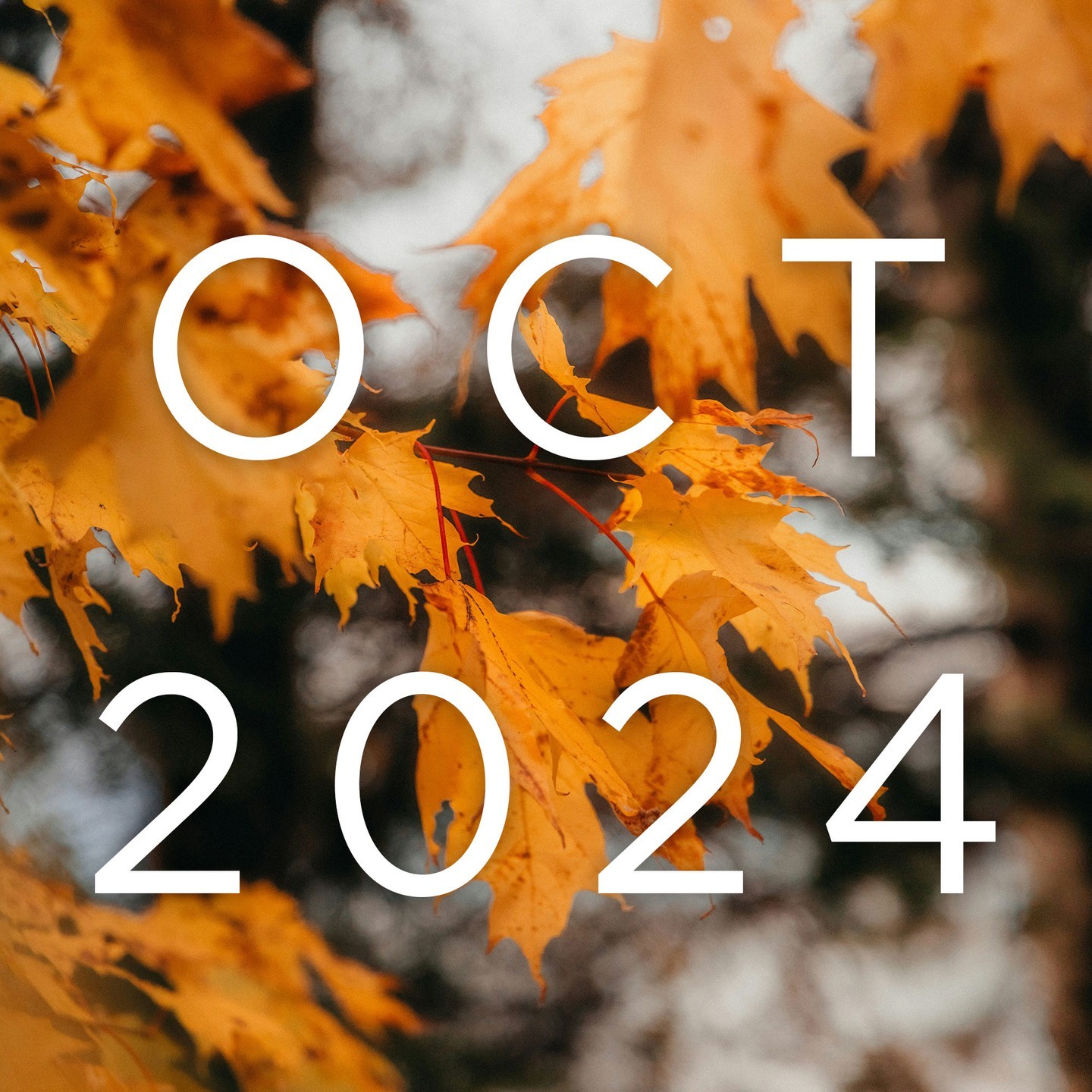 Astro Daily October 18, 2024 Empowering Astrology