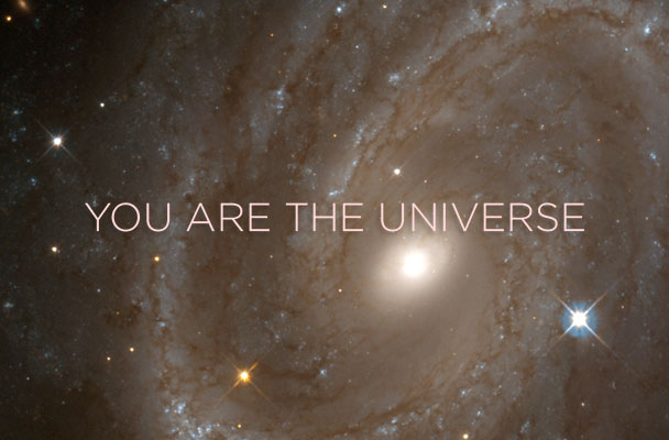 You are the Universe.