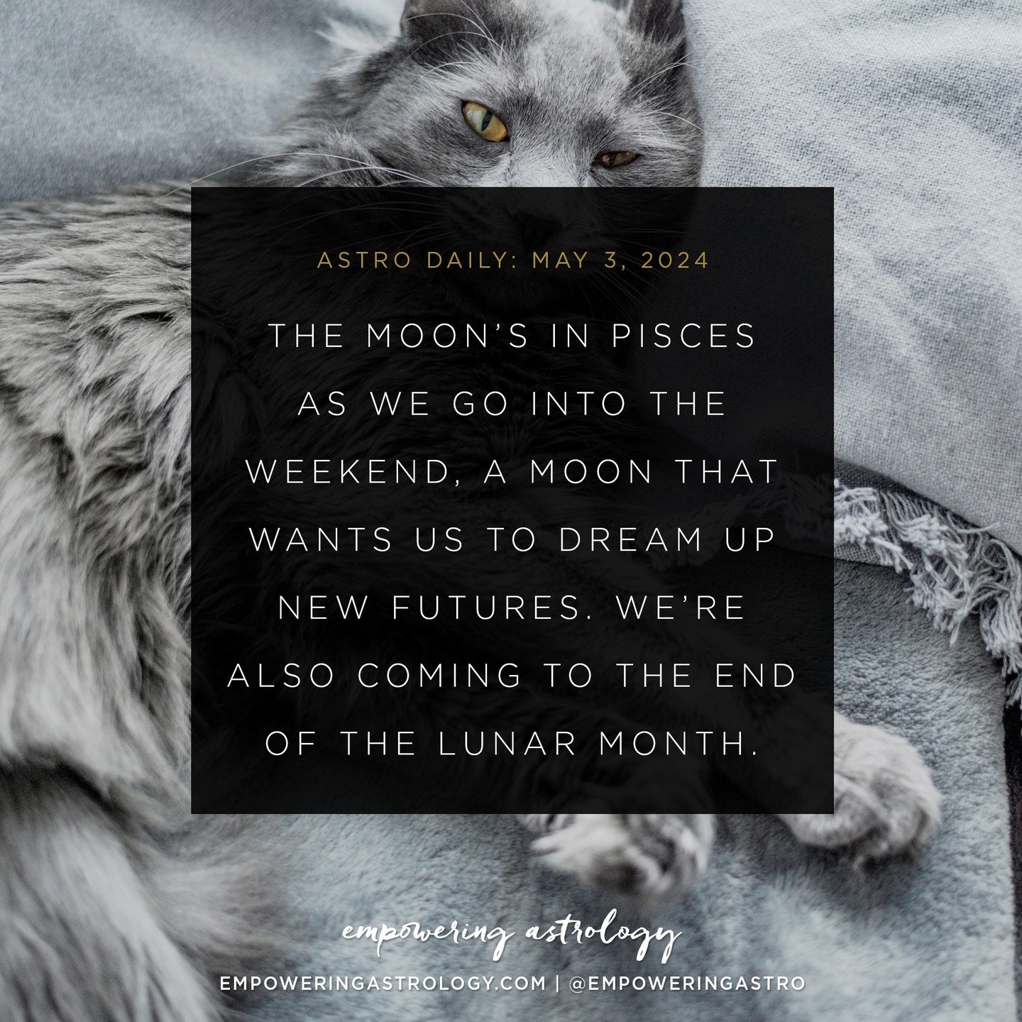 Leo Full Moon New Fire Empowering Astrology