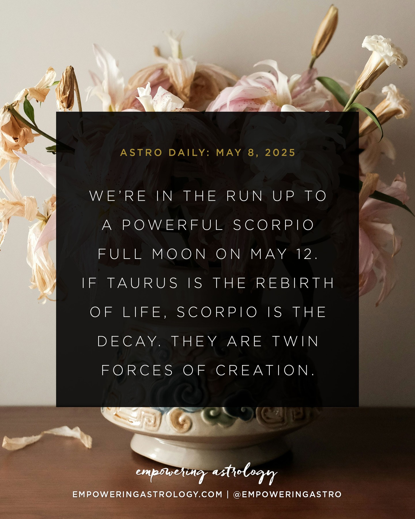 May 9 — As a Scorpio, I have a deep appreciation for Taurus. It is a sign that grounds me, reminds me to live and perhaps to not take things so seriously. Taurus is also the hope that all endings are eventually the seeds for new life.⁠
⁠
Like all opposing signs, Taurus and Scorpio are in an eternal dance. Life … death … rebirth. They are the signs of matter and the material world and govern over money and resource, property and assets, power and control. ⁠
⁠
The May 12 Scorpio Full Moon at 22 degrees is a powerful one. Not just because Scorpio is a powerful sign but because it activates Mars and Pluto. It’s a weekend to really clear space physically, emotionally, and energetically so that new life can take hold. But it’s also a reminder that all things must pass. ⁠
⁠
The eternal dance continues.⁠
⁠
For more on today’s #astrodaily, go to my website, empoweringastrology.com. You can also book a consultation with me! Click link in profile to learn more about my services.⁠
⁠
If you are in AUSTRALIA or NZ, this forecast applies approximately for May 10-12, 2025.⁠
⁠
#scorpiofullmoon #mooninscorpio #taurusseason #sunintaurus #elementearth #venusinaries #may2025astrology #mayastrology #empoweringastrology #katiesweetman #astrologyplusconsciousness #holisticastrology #astrologyforecast #soulalchemy #thesoulsjourney #modernmystics #astrology #astrologie #astrologia #astrolog #astrologersofinstagram #horoscope #horoscopes #astrologyposts #dailyhoroscope #dailyastrology⁠
⁠
Image: We’re in the run up to a powerful Scorpio full moon on May 12. If Taurus is the rebirth of life, Scorpio is the decay. They are twin forces of creation.