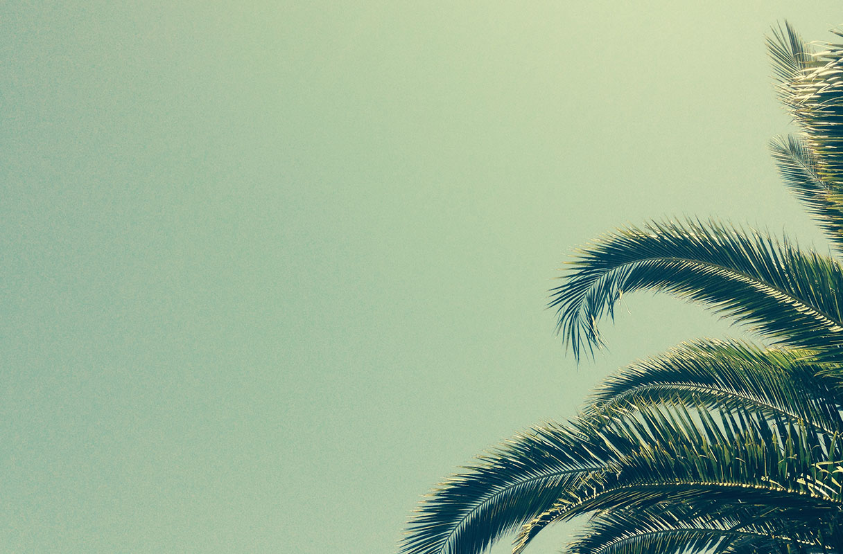 August 2015 Horoscopes