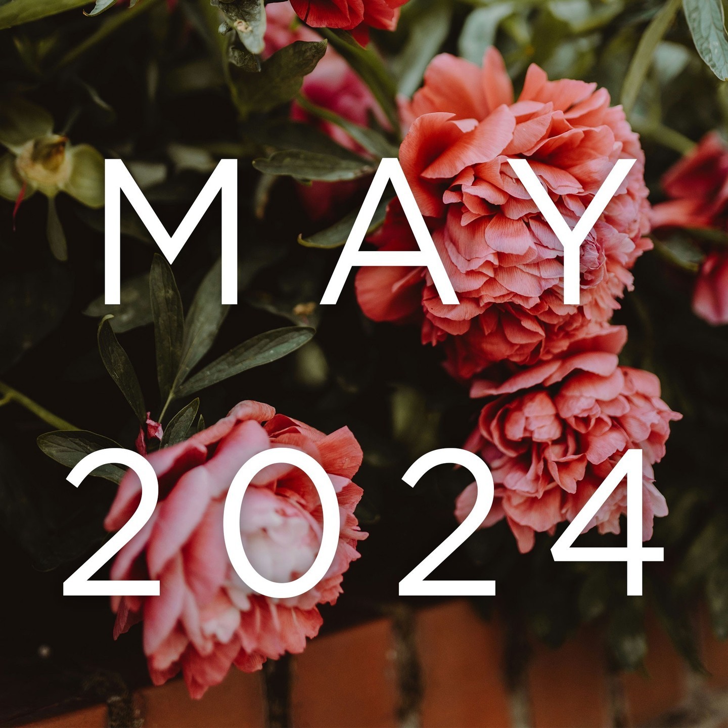 Leo Full Moon New Fire Empowering Astrology