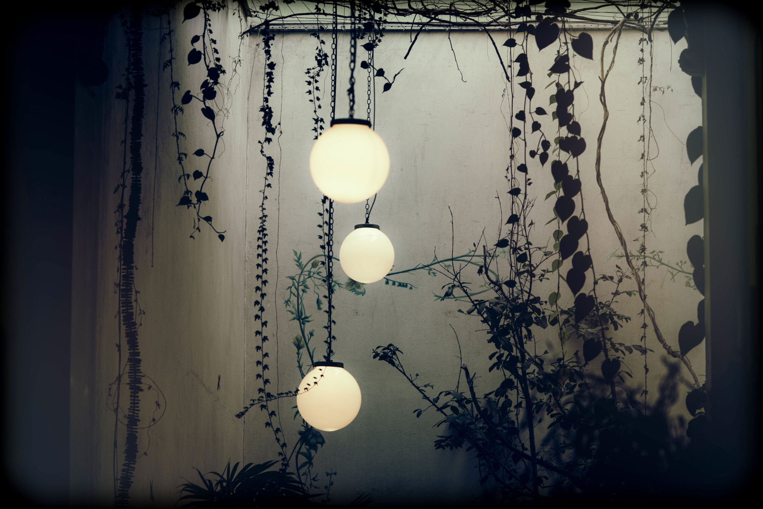 Lights and vines.