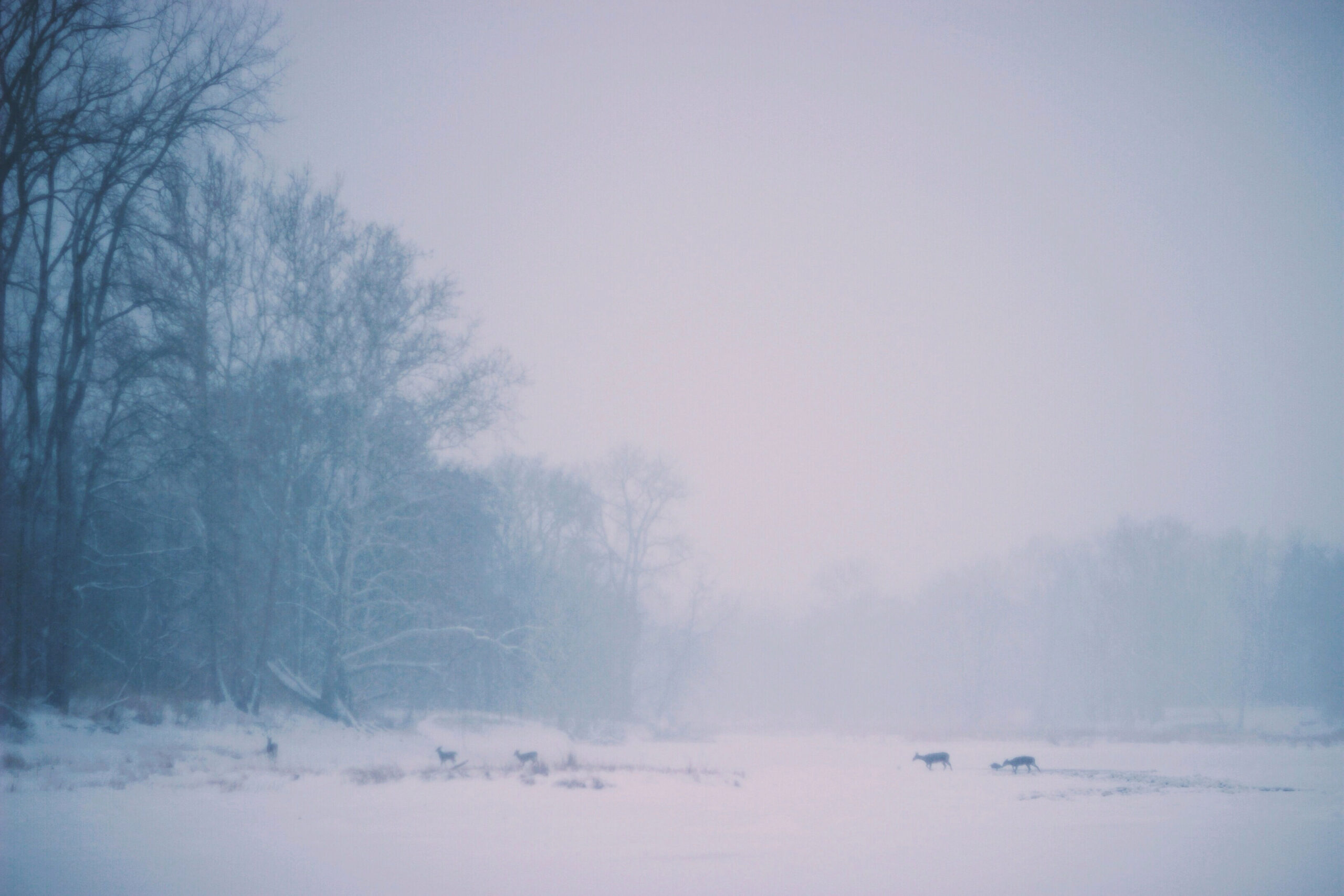 December 2015 Horoscopes