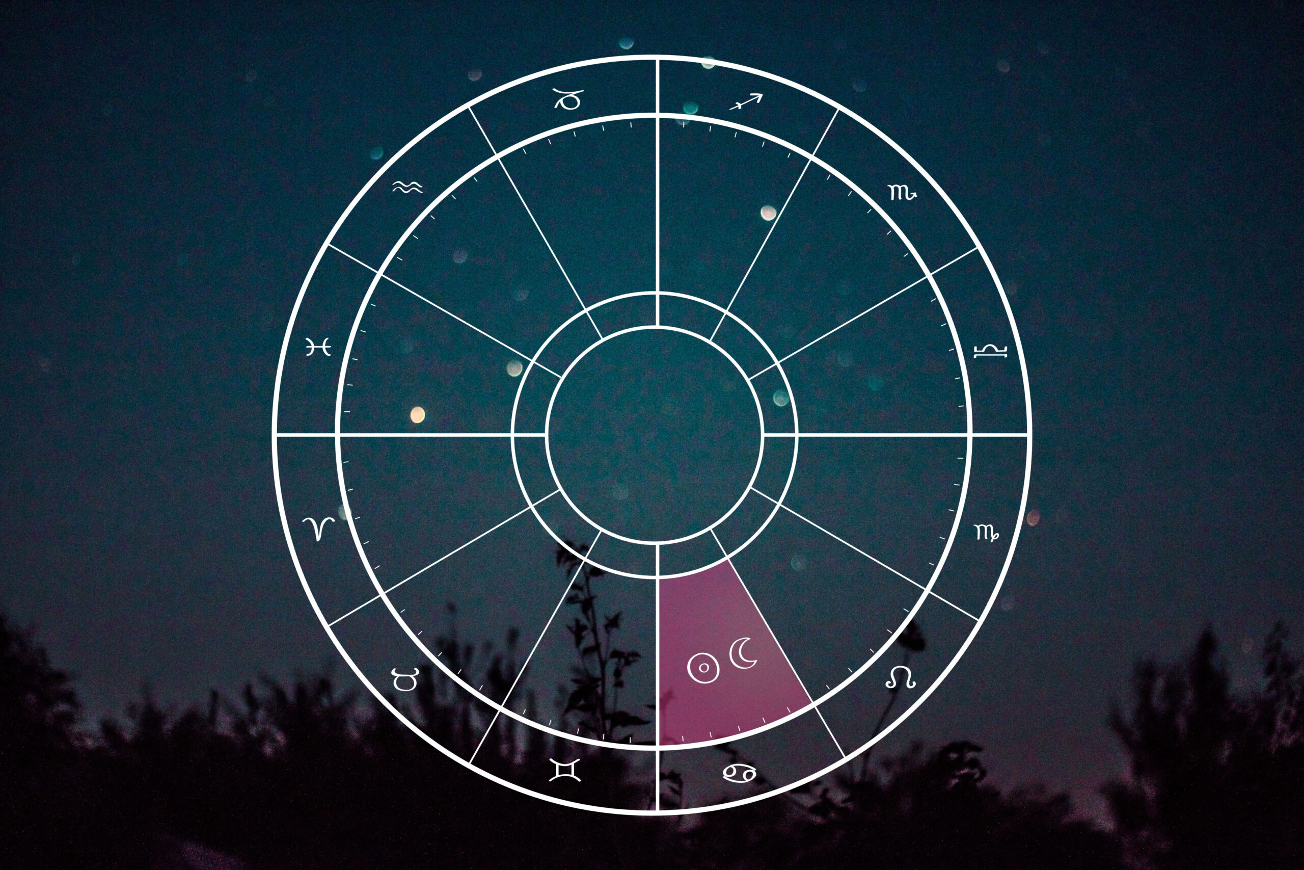 New Moon in Cancer: The Root