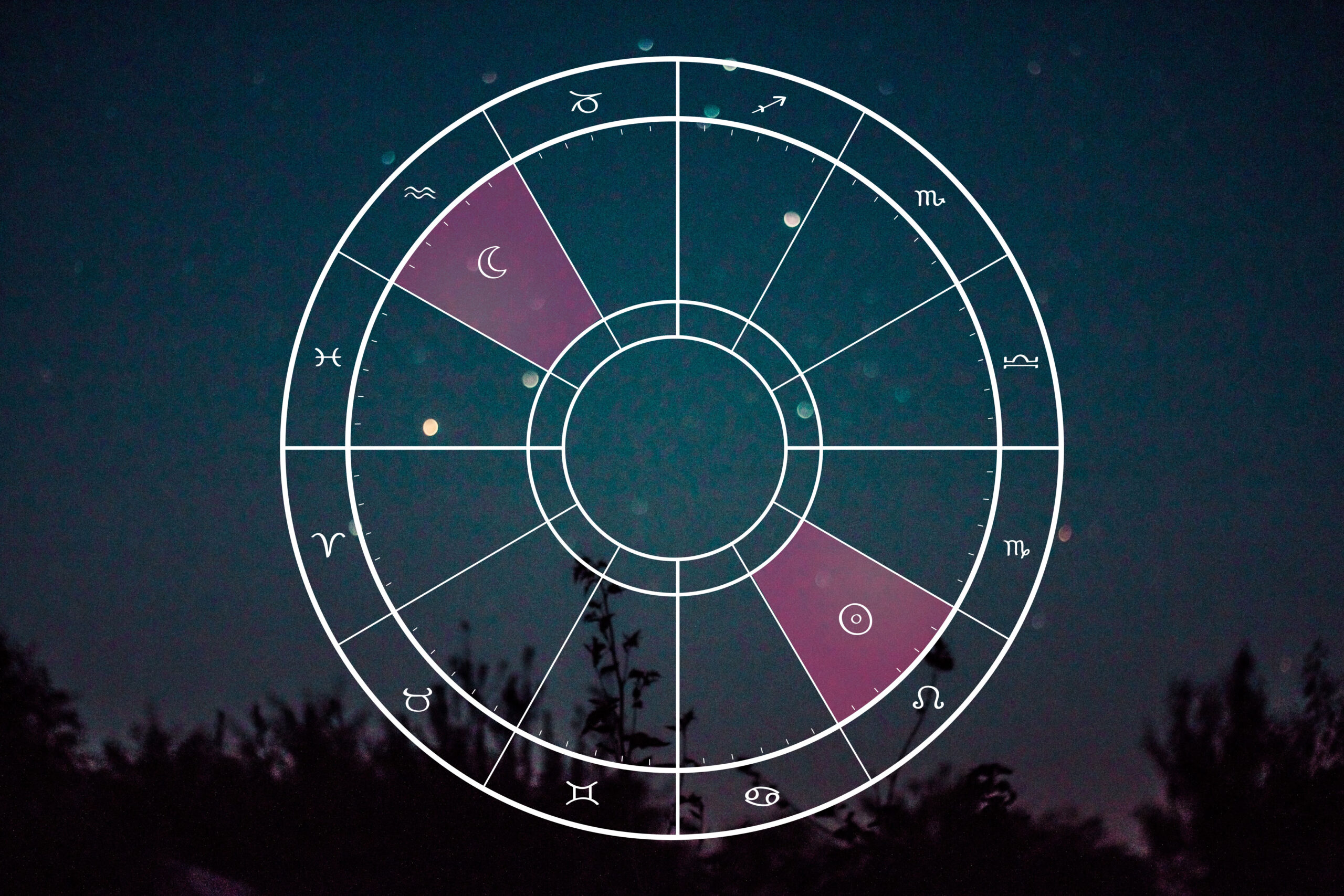 Full Moon in Aquarius: The Future