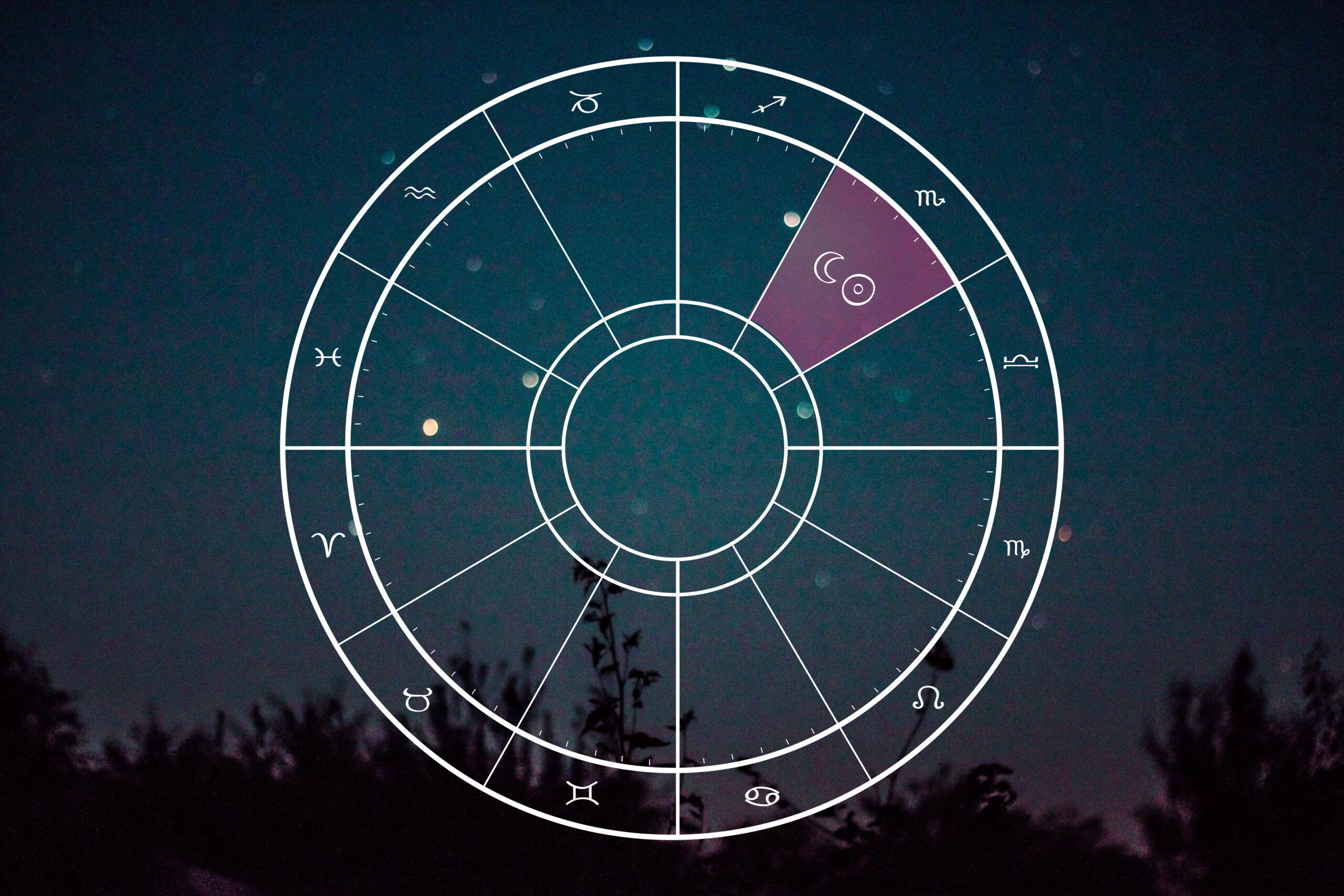 New Moon in Scorpio: Rebirth