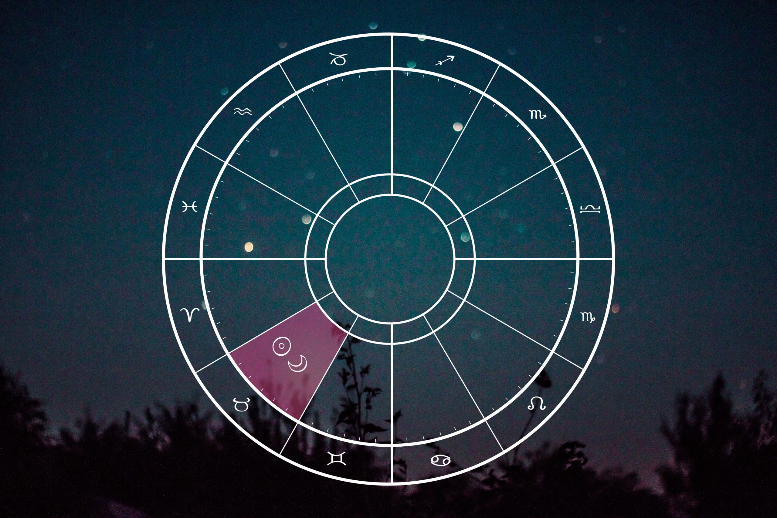 New Moon in Taurus: In Bloom