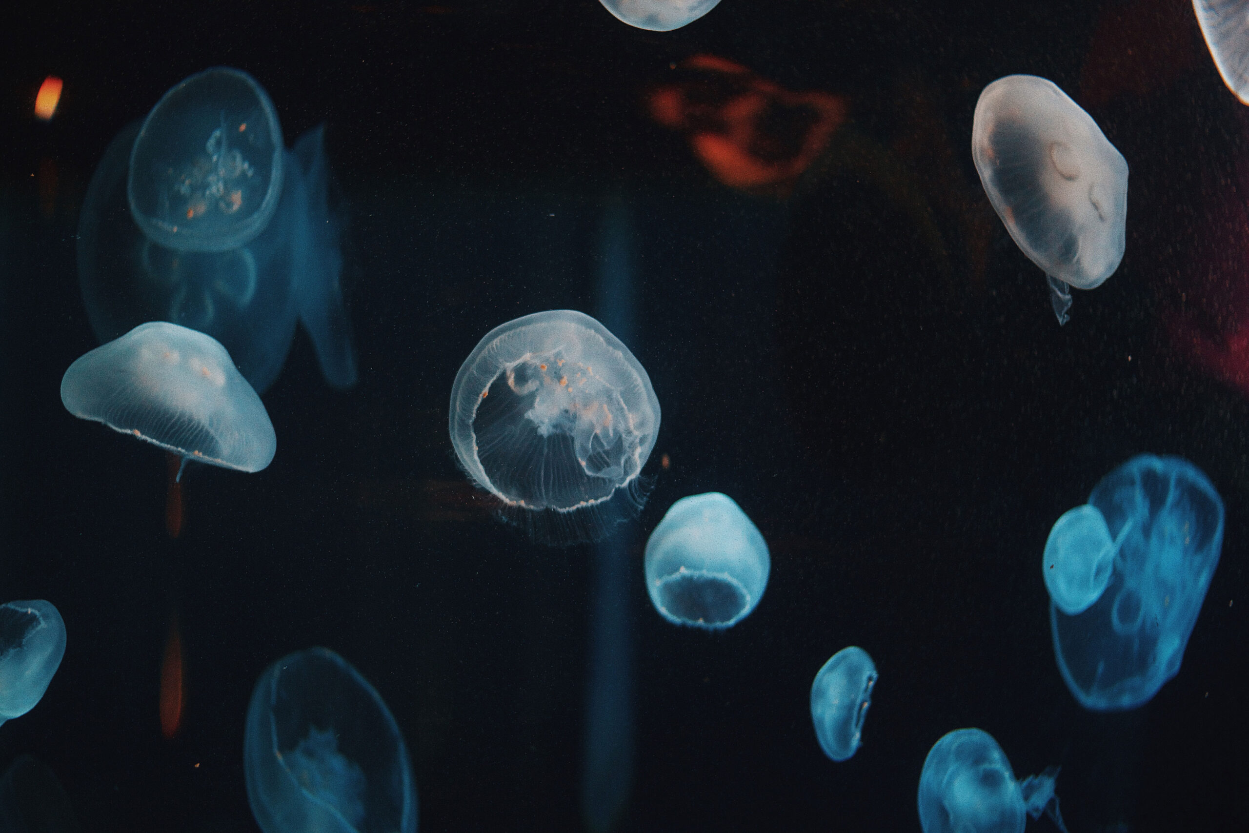 March 2018 Horoscopes