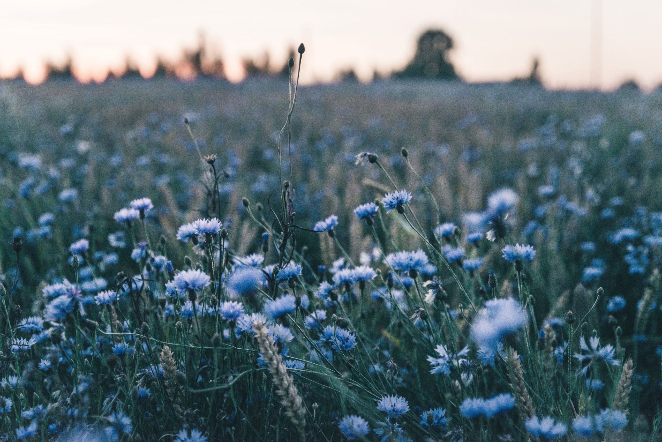 Astro Daily: August 13, 2018