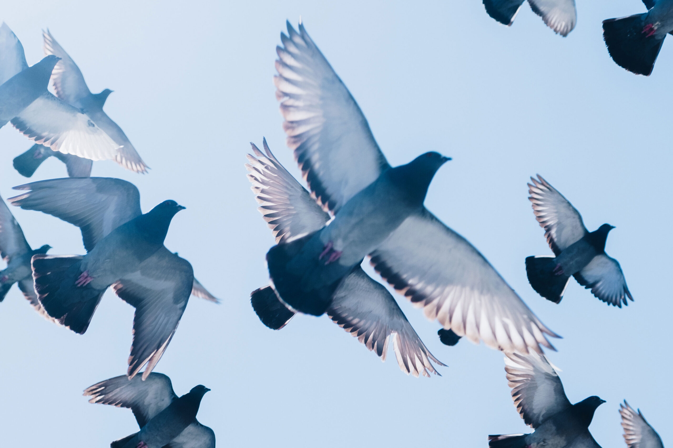 Astro Daily: September 18, 2018