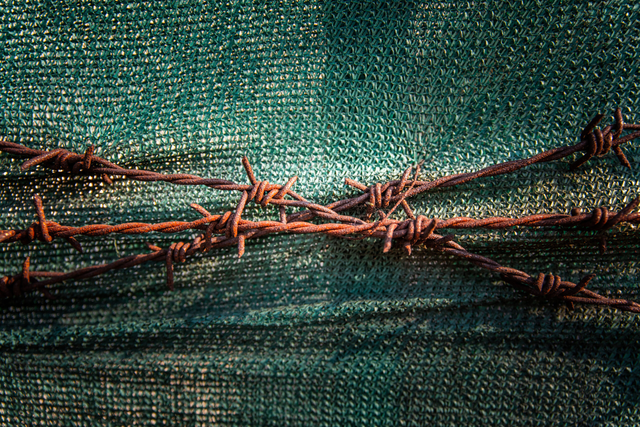 Astro Daily: November 20, 2018