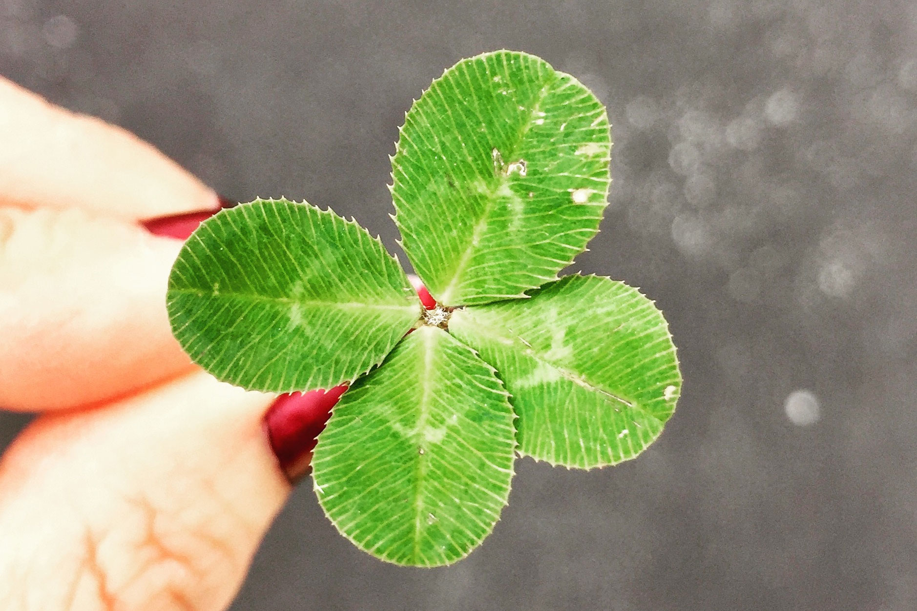 Astro Daily: March 18, 2019