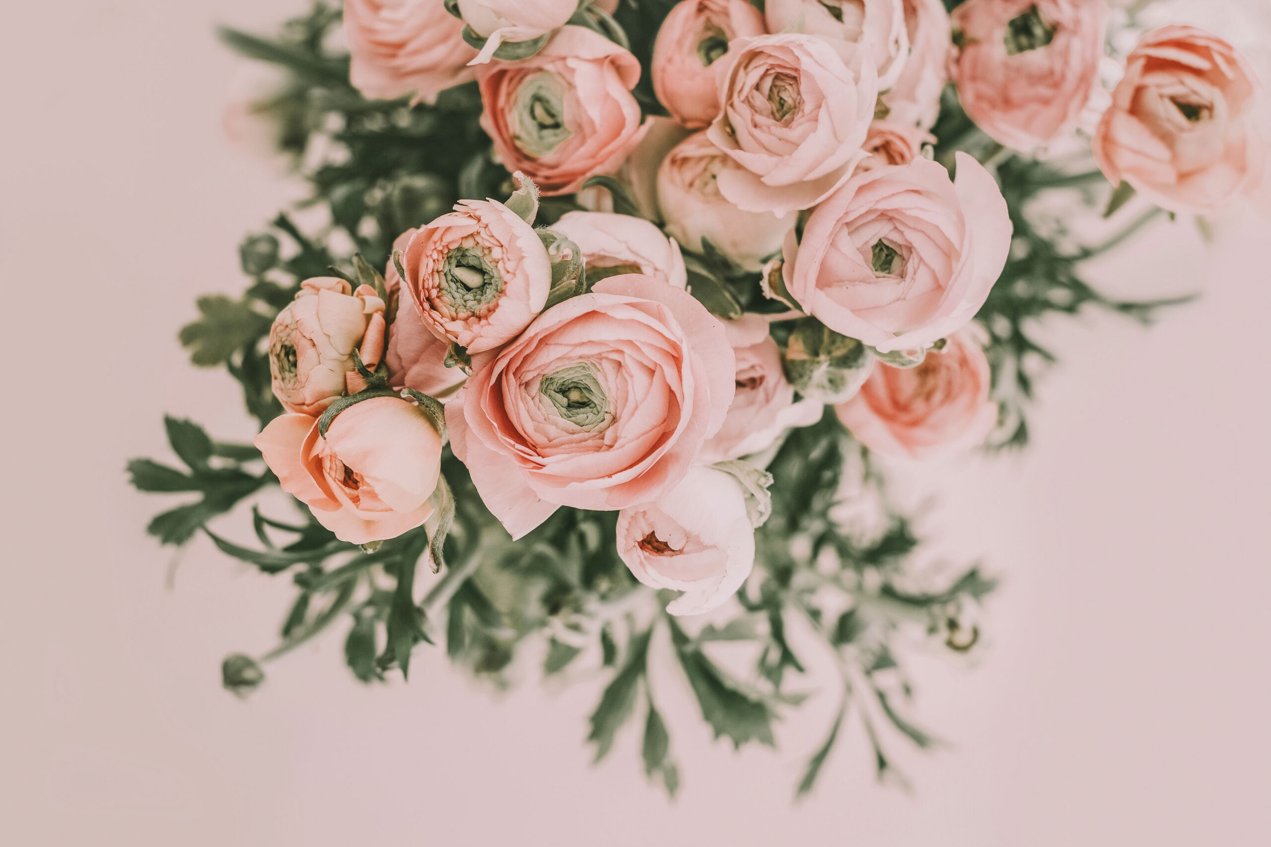 May 2019 Horoscopes