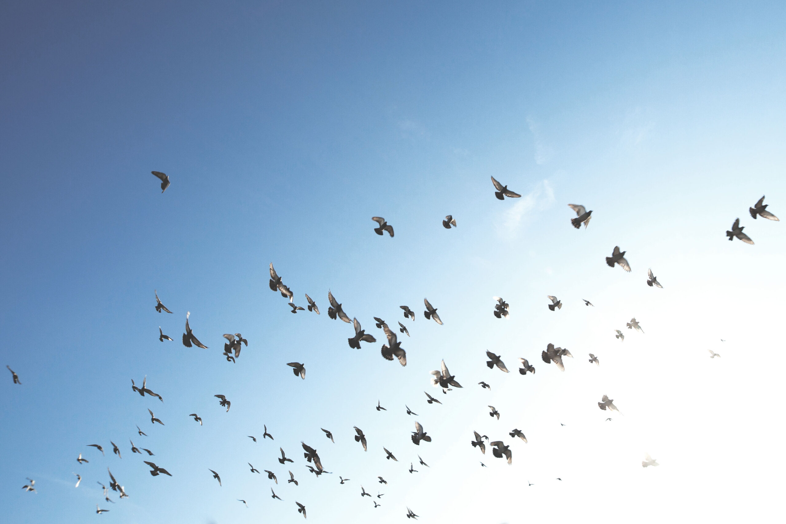 Astro Daily: May 28, 2019