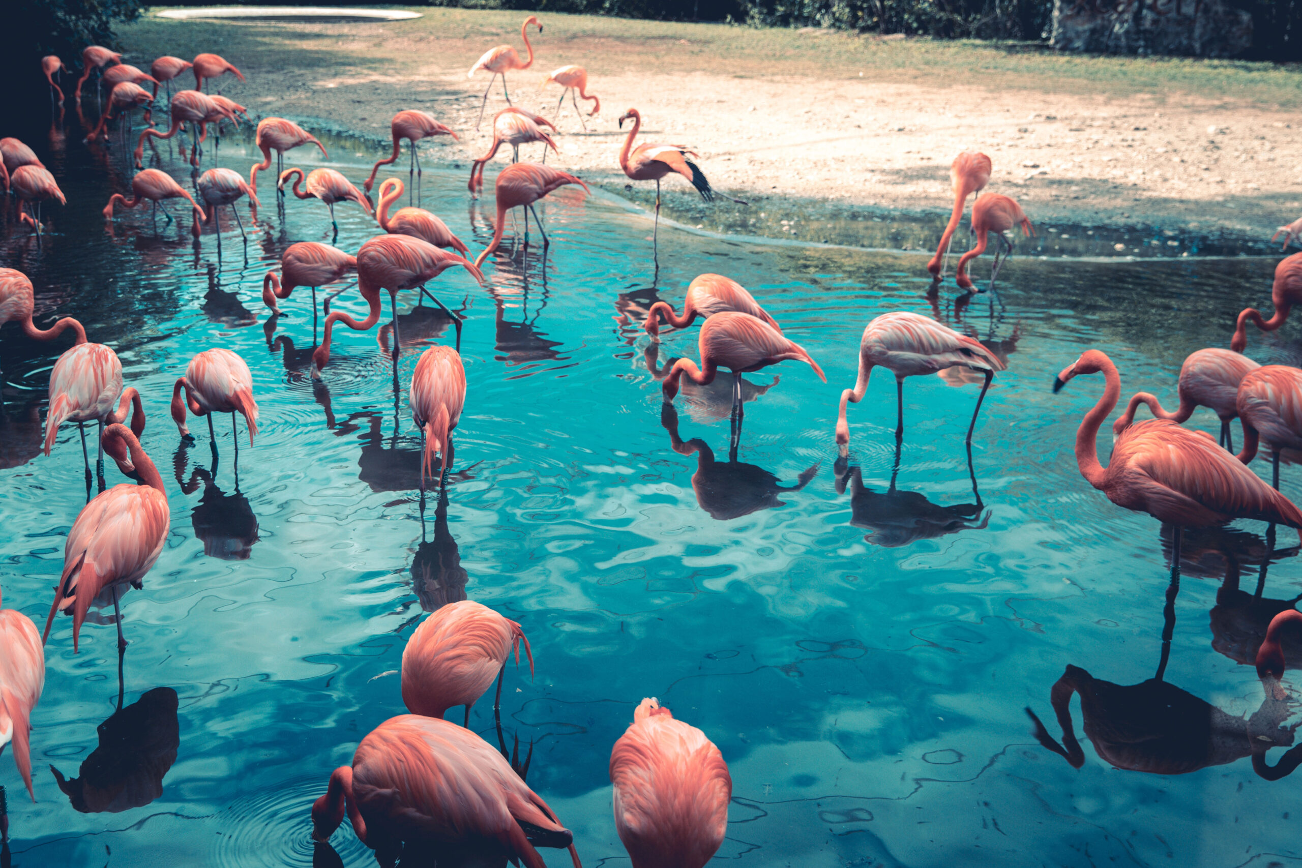 July 2019 Horoscopes