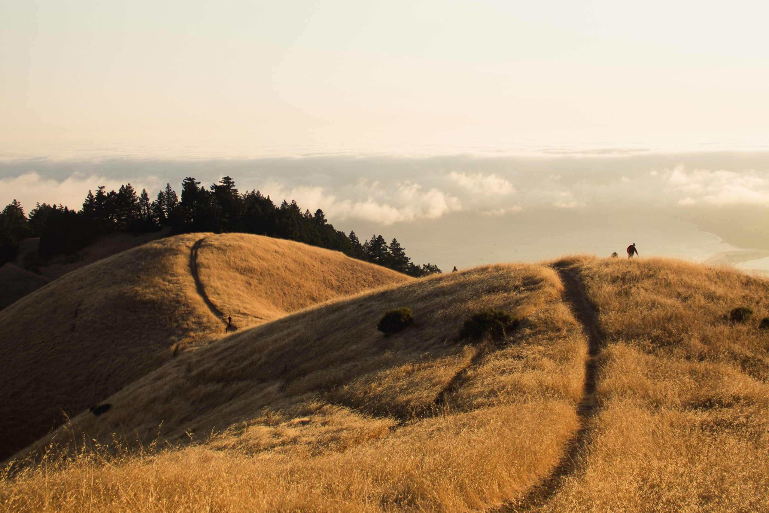 Astro Daily: July 24, 2019