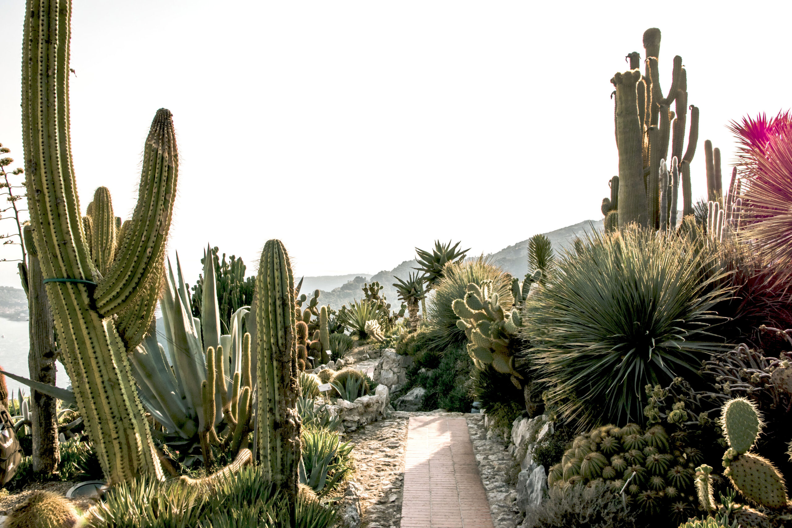 Astro Daily: August 6, 2019