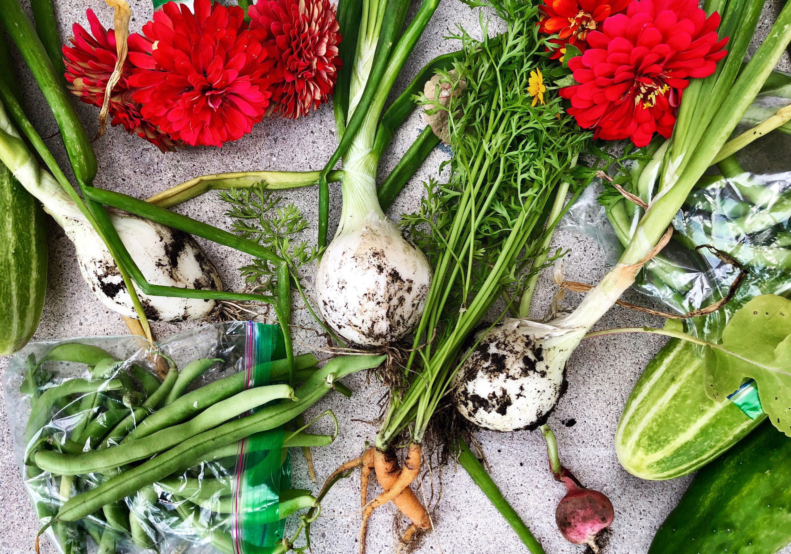 Astro Daily: August 2, 2019