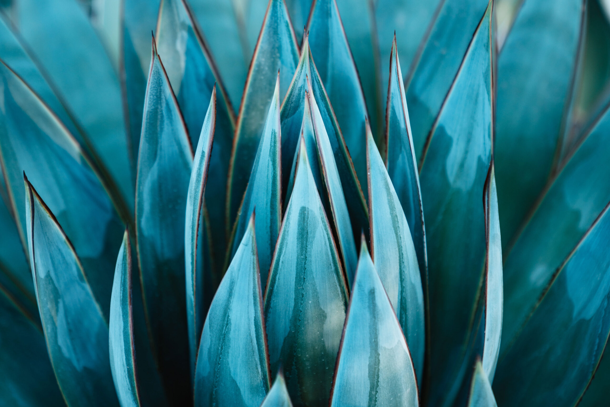 Astro Daily: November 14, 2019