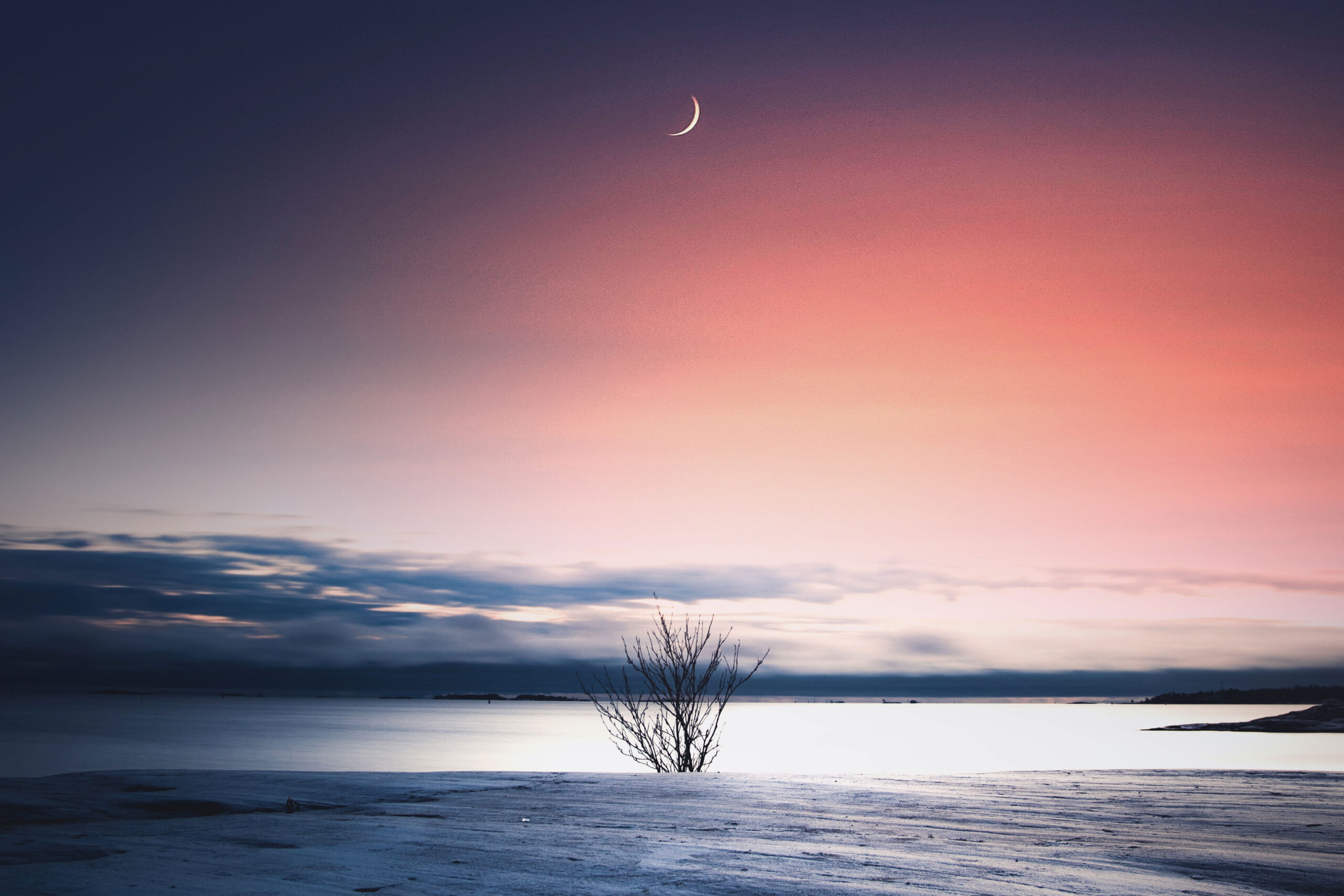 December 2019 Horoscopes