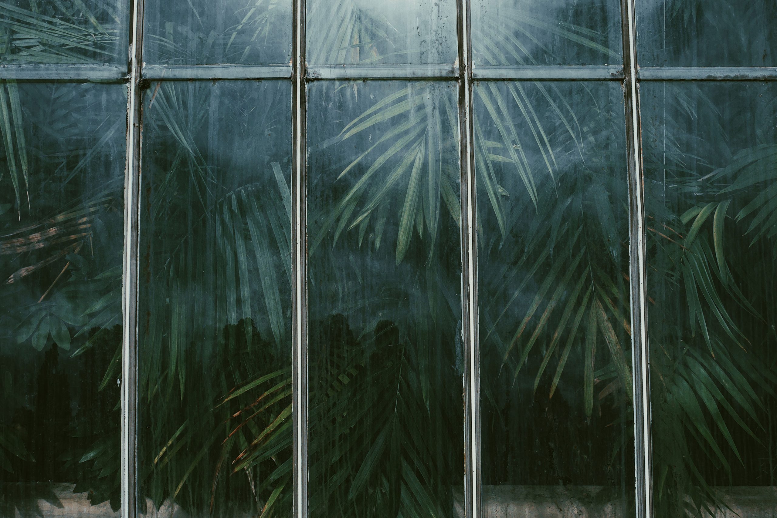 Astro Daily: January 6, 2020