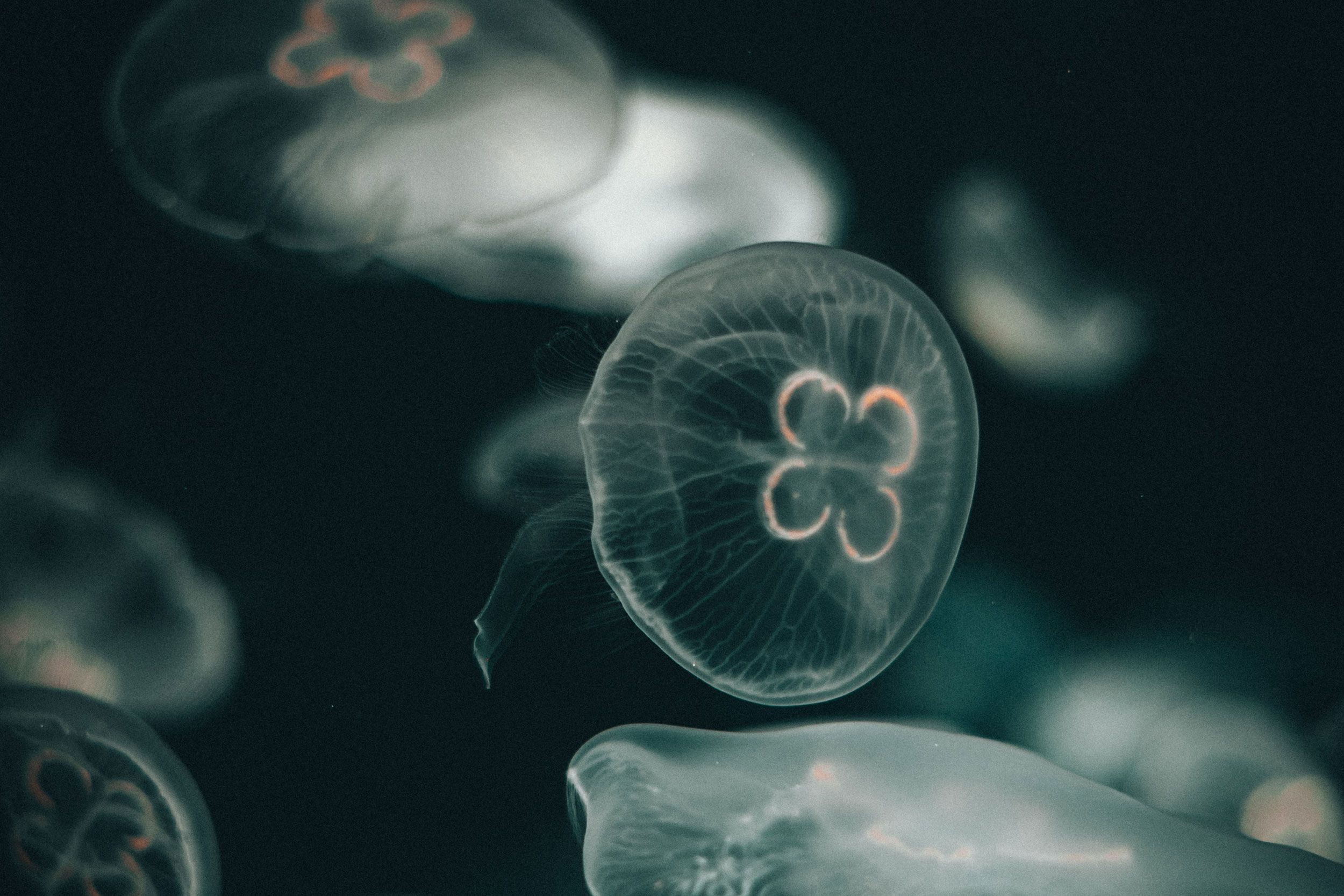 Astro Daily: February 19, 2020