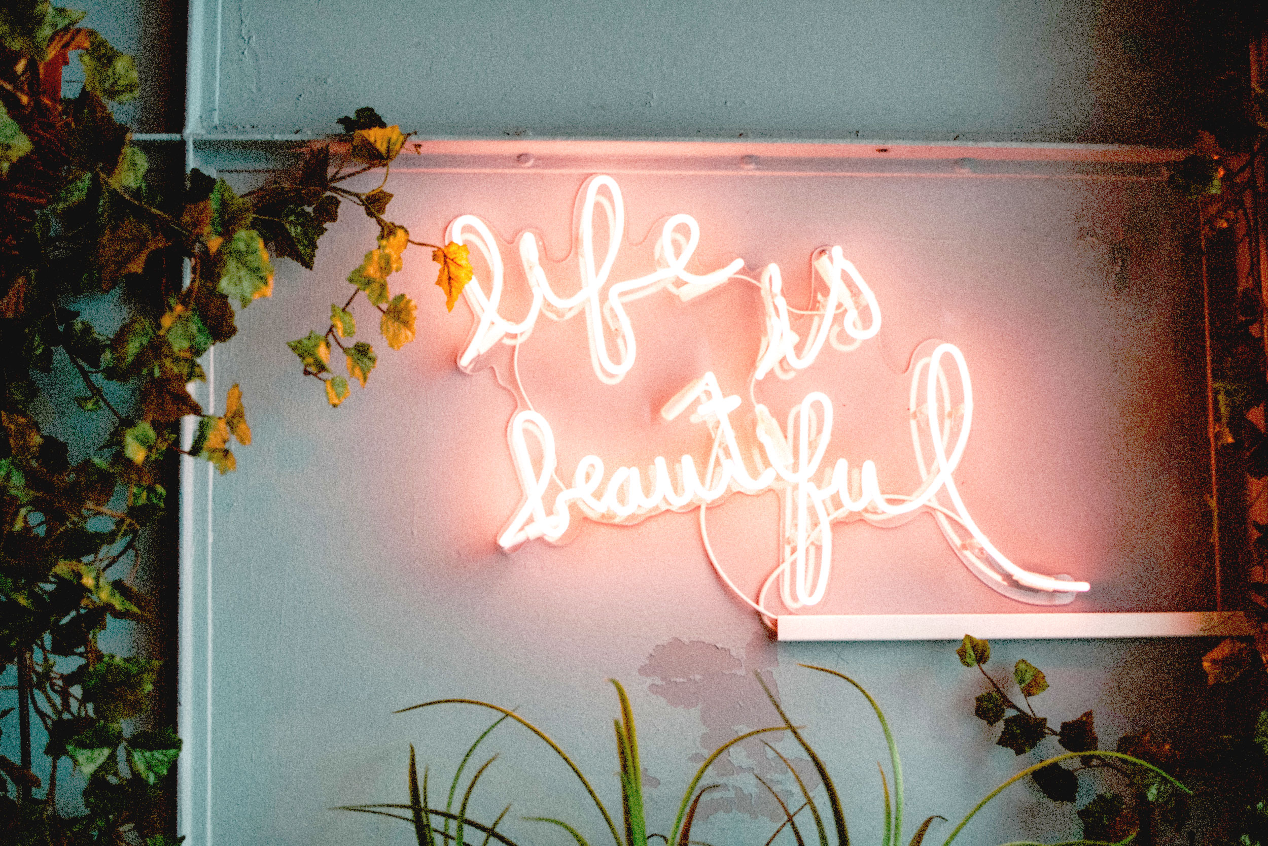 Astro Daily: February 6, 2020