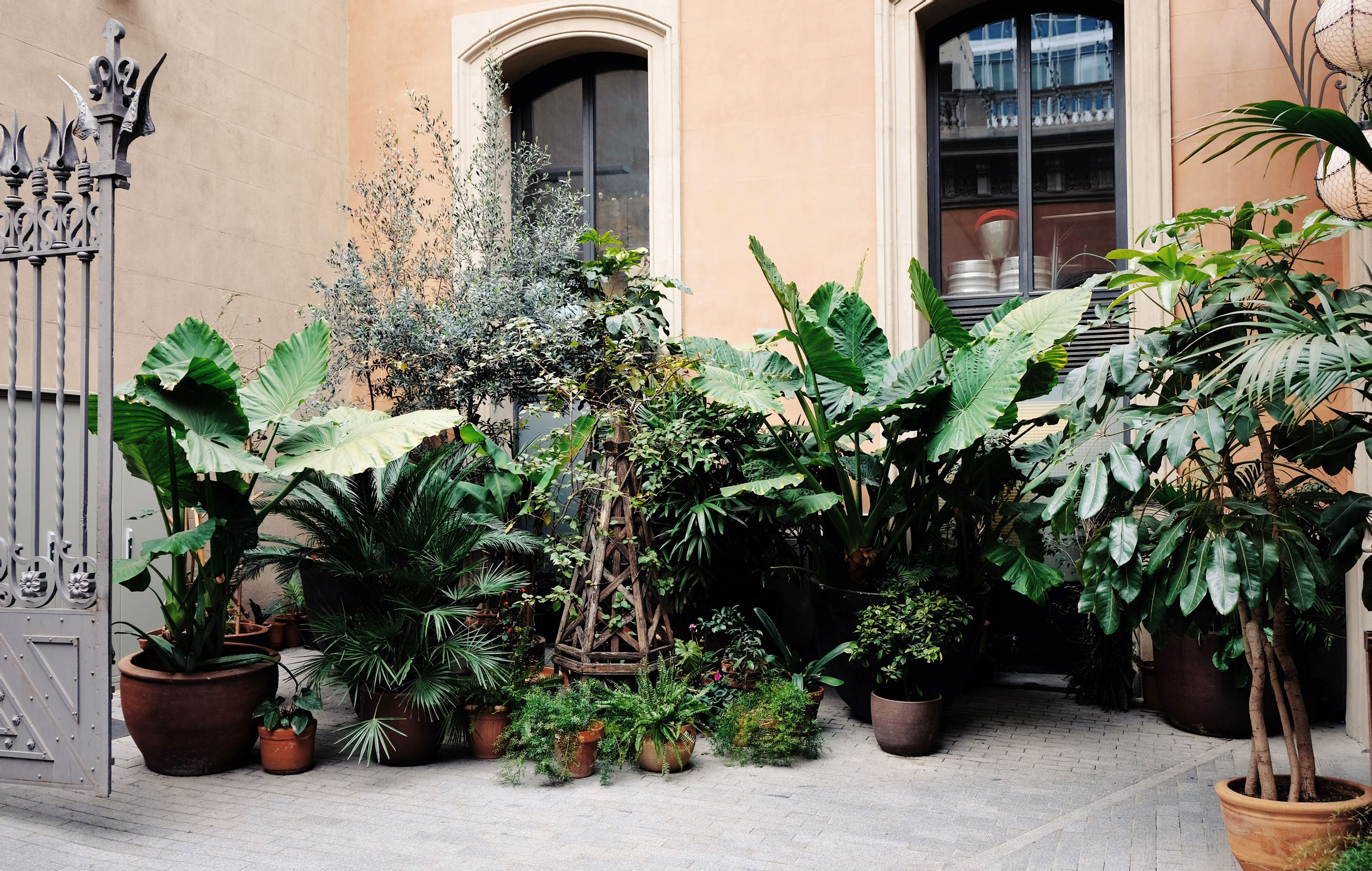 Astro Daily: March 26, 2020