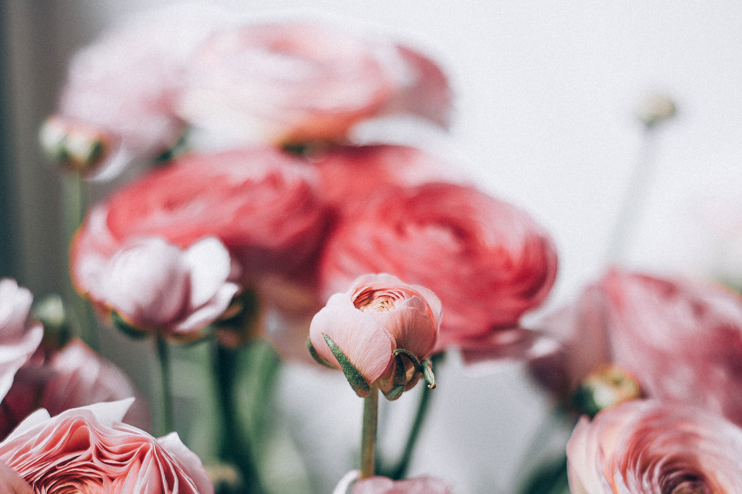 Astro Daily: March 27, 2020