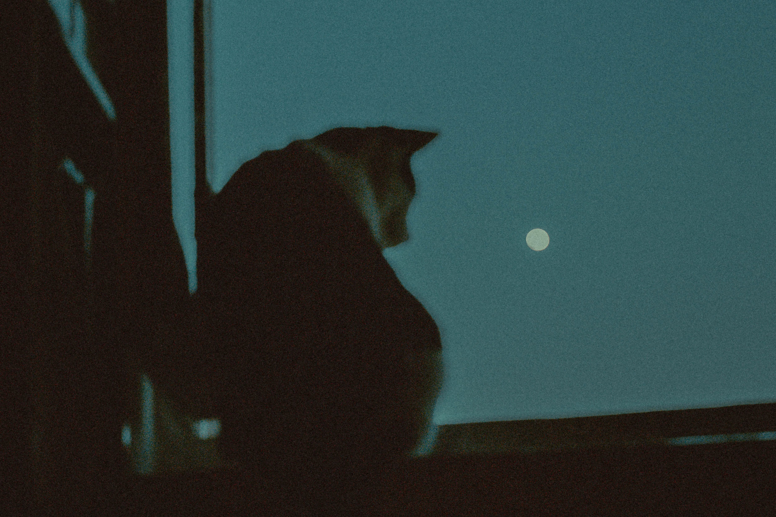 Astro Daily: April 9, 2020