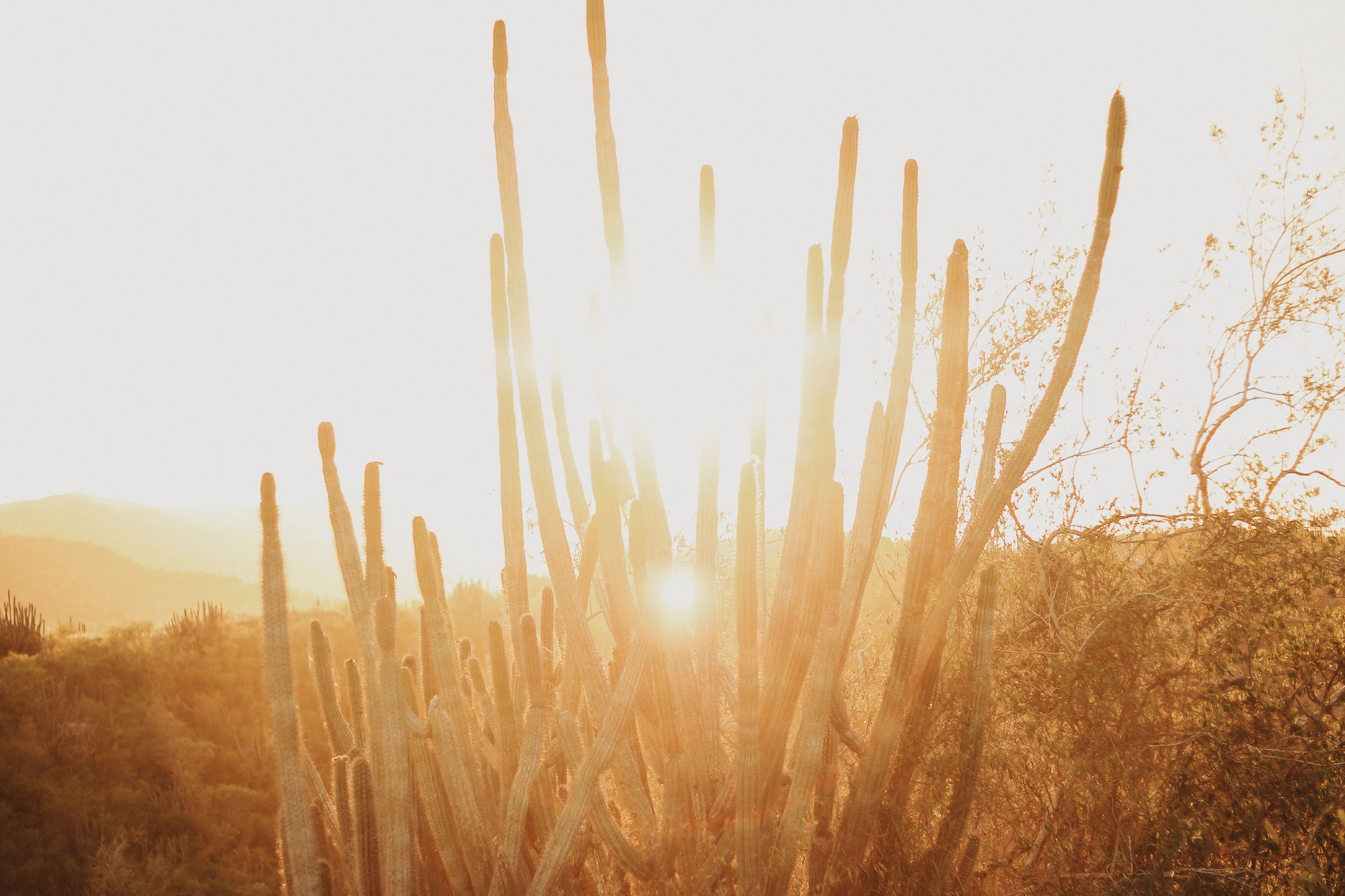 Astro Daily: July 28, 2020