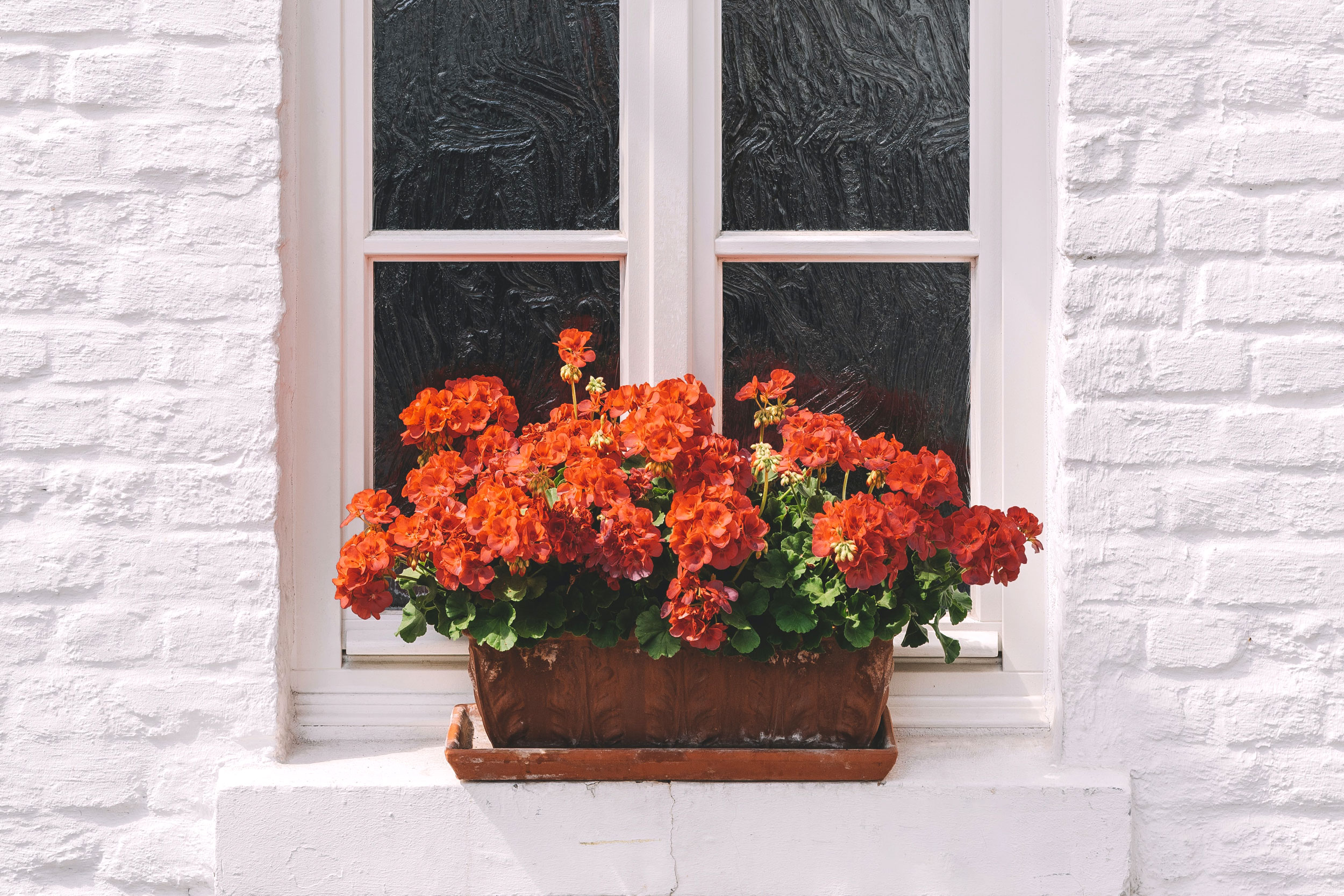 Astro Daily: July 13, 2020