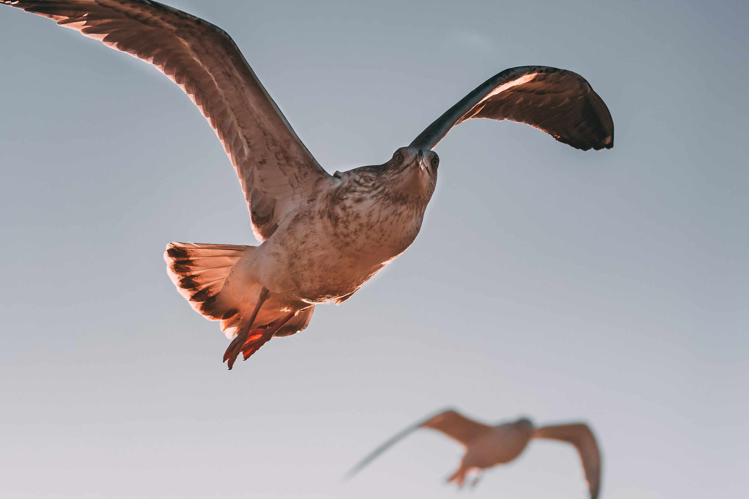 Astro Daily: July 24, 2020