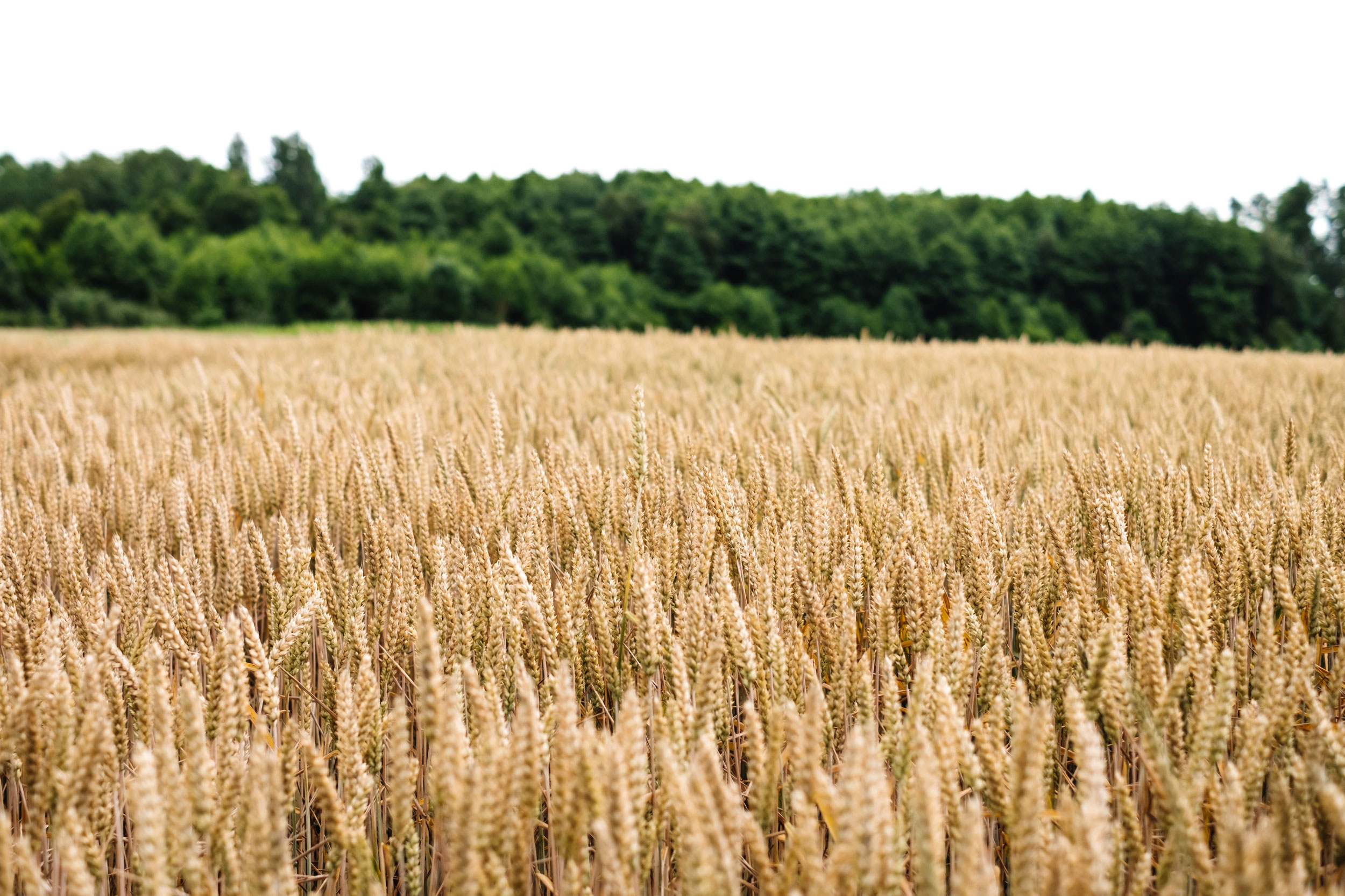 Astro Daily: August 20, 2020