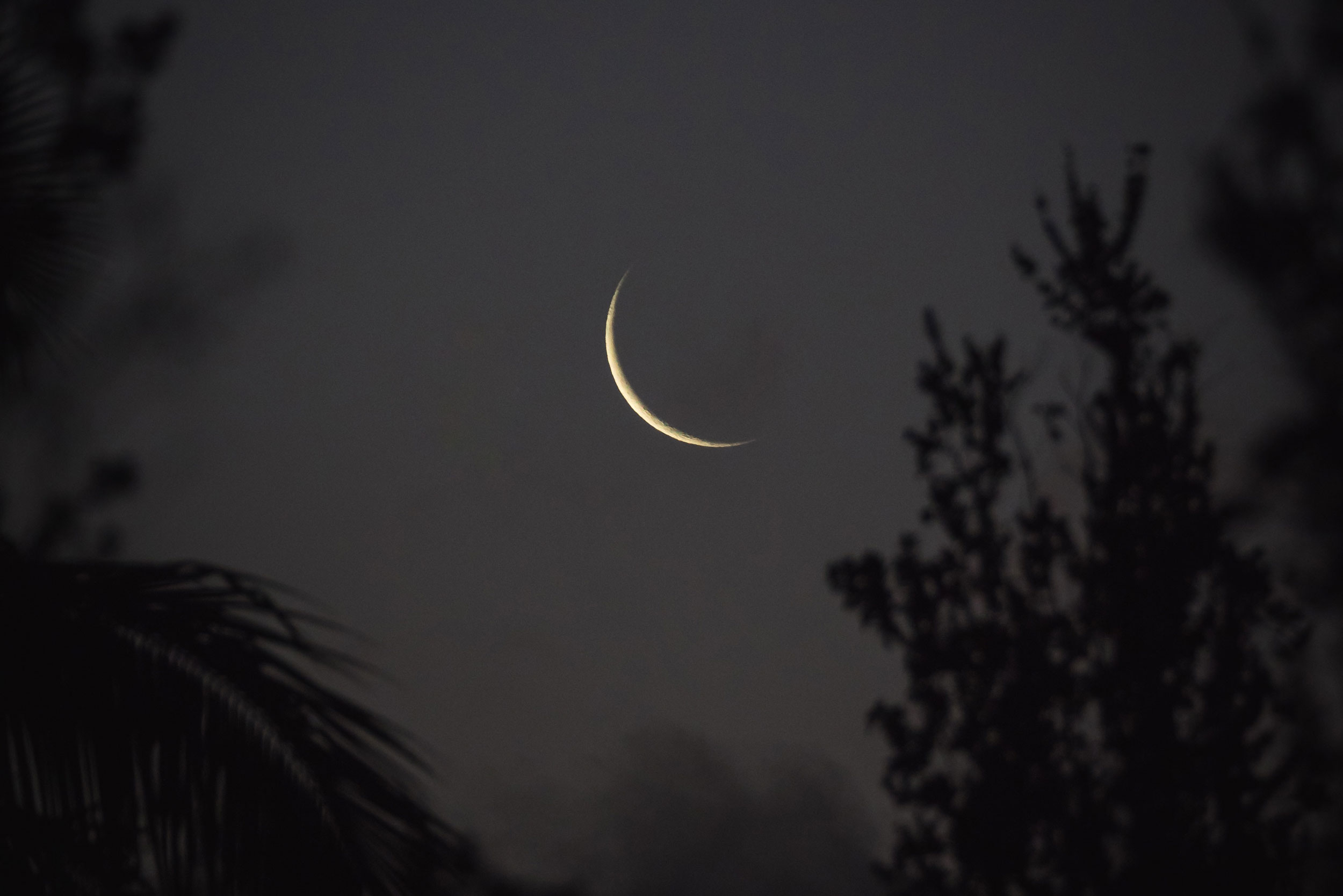 Astro Daily: August 17, 2020