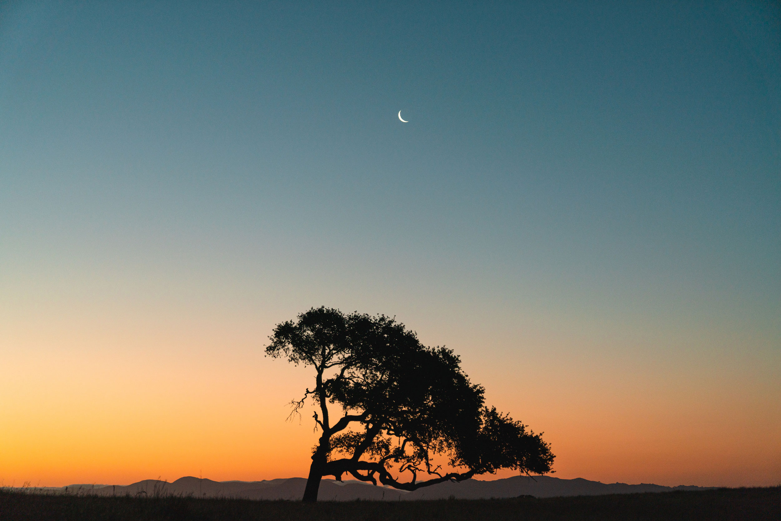 Astro Daily: October 14, 2020