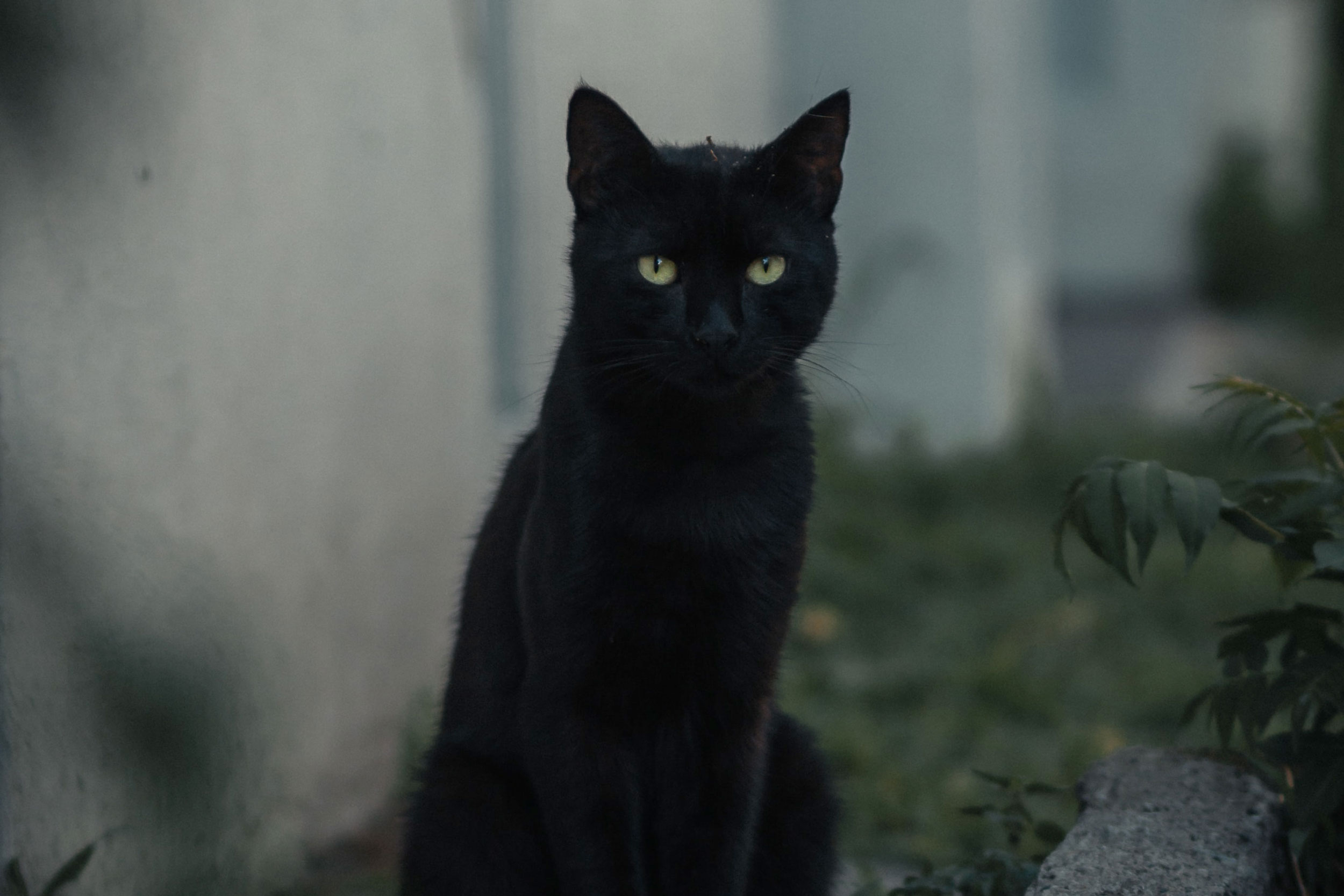 Astro Daily: October 29, 2020