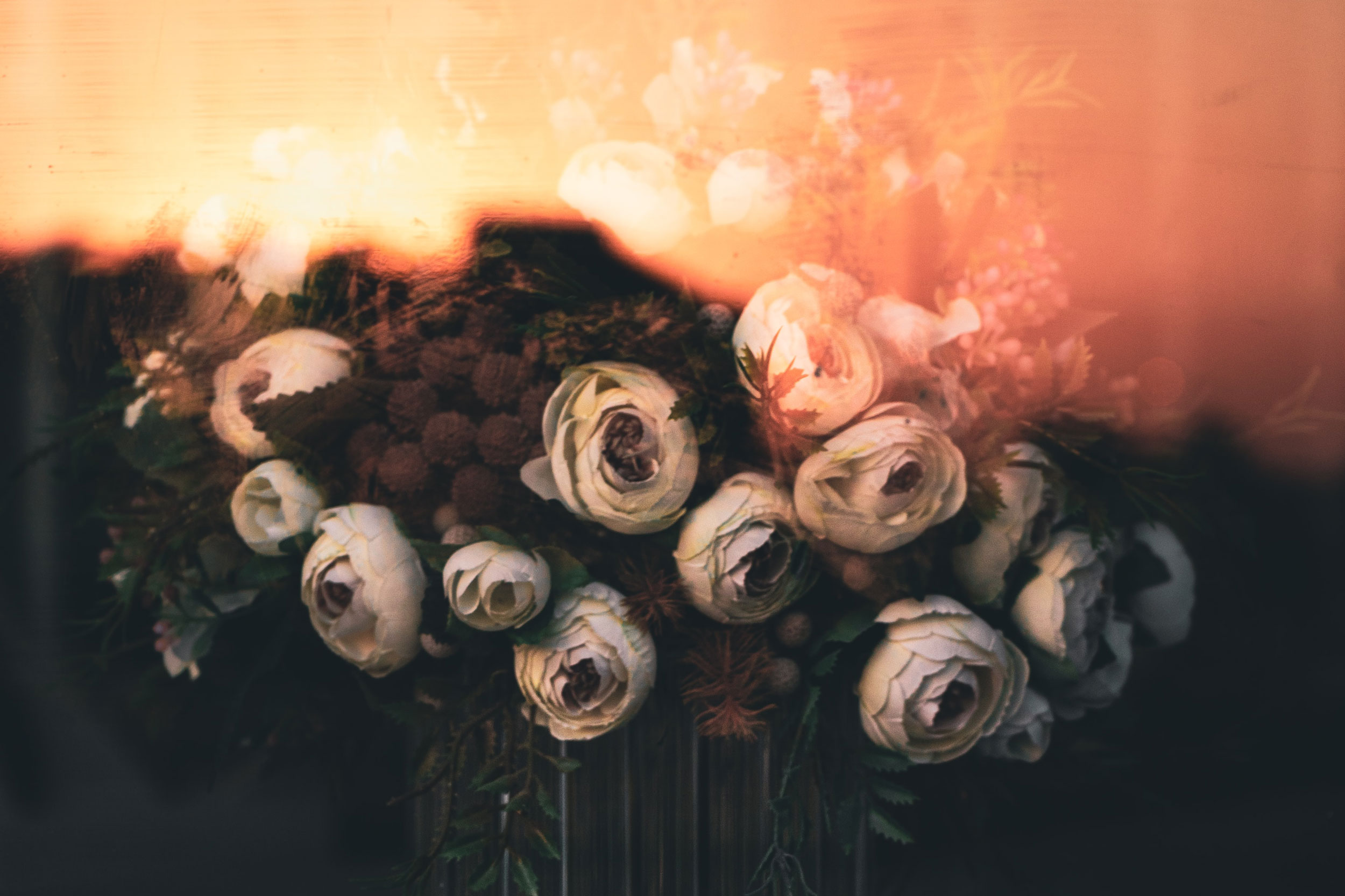 Astro Daily: December 8, 2020