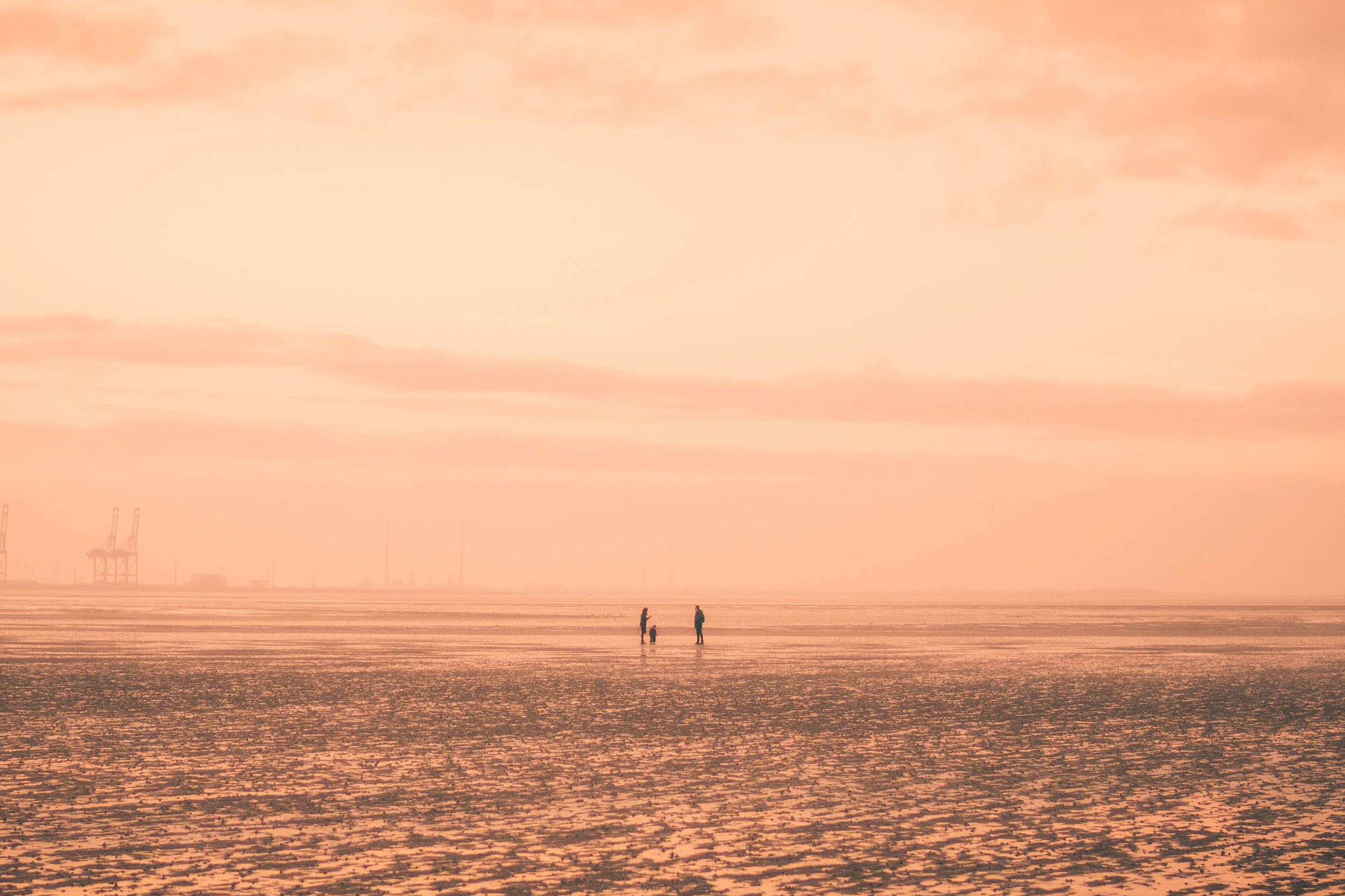 Astro Daily: December 2, 2020