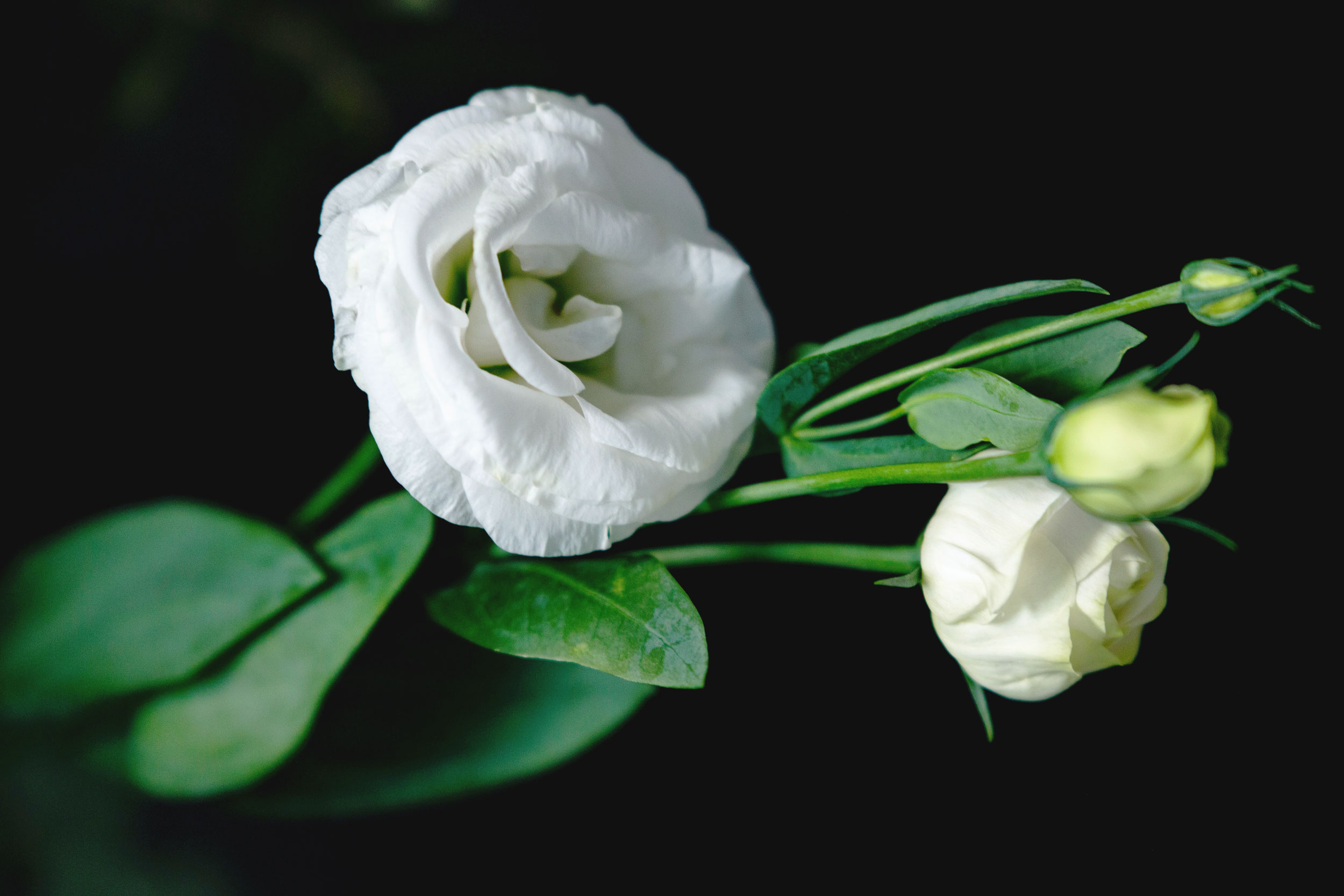 Astro Daily: January 7, 2021