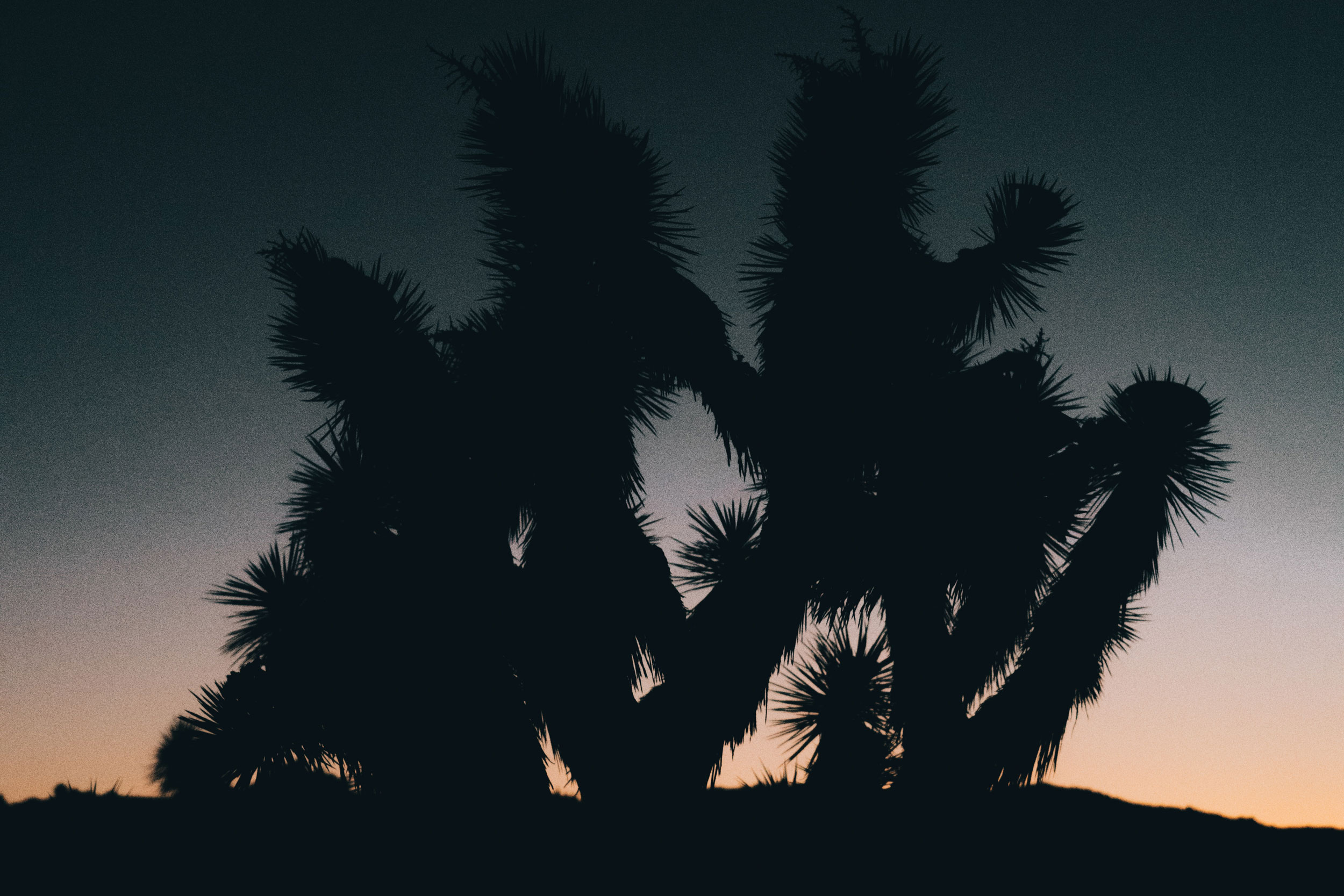 Astro Daily: January 12, 2021