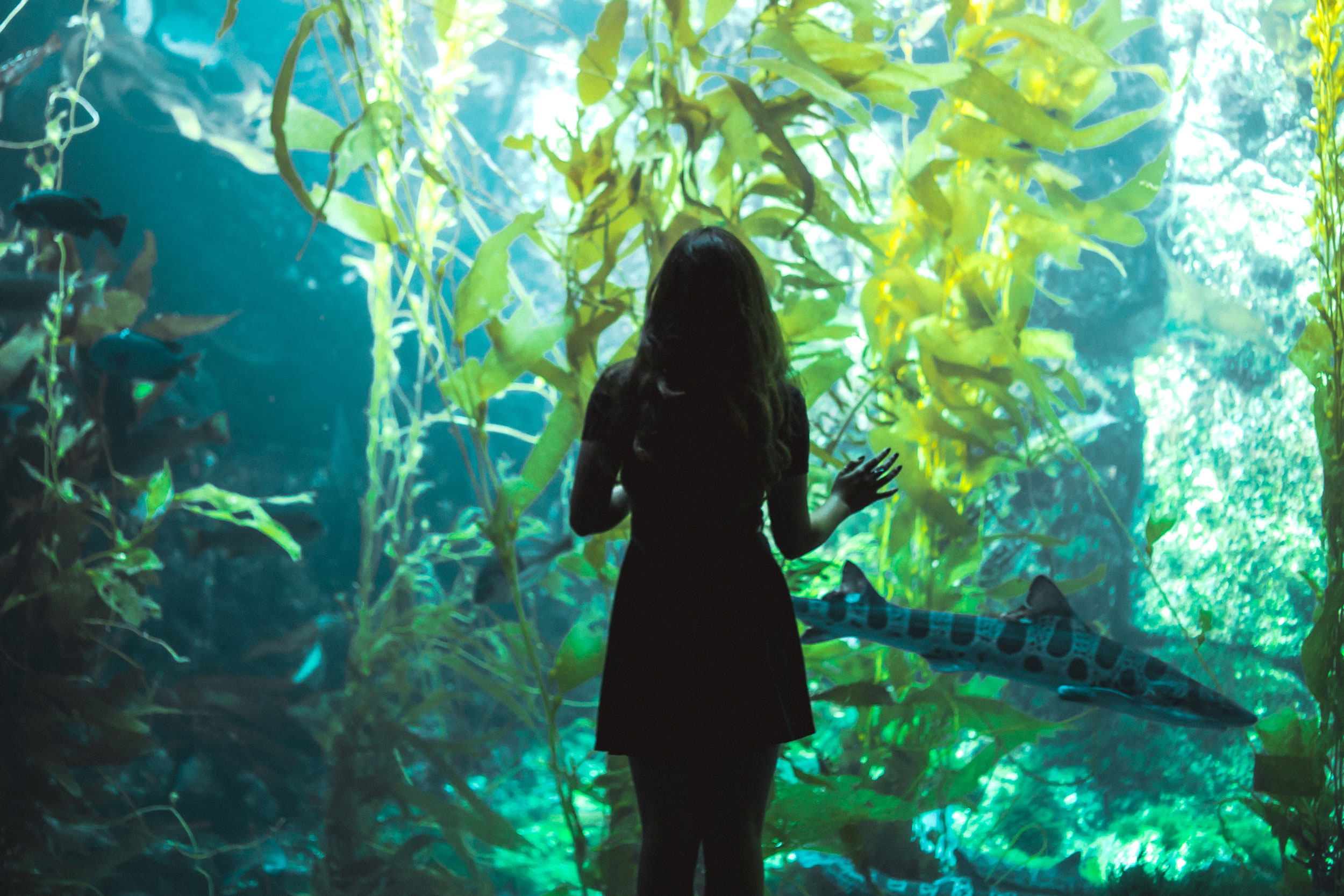 Woman at aquarium