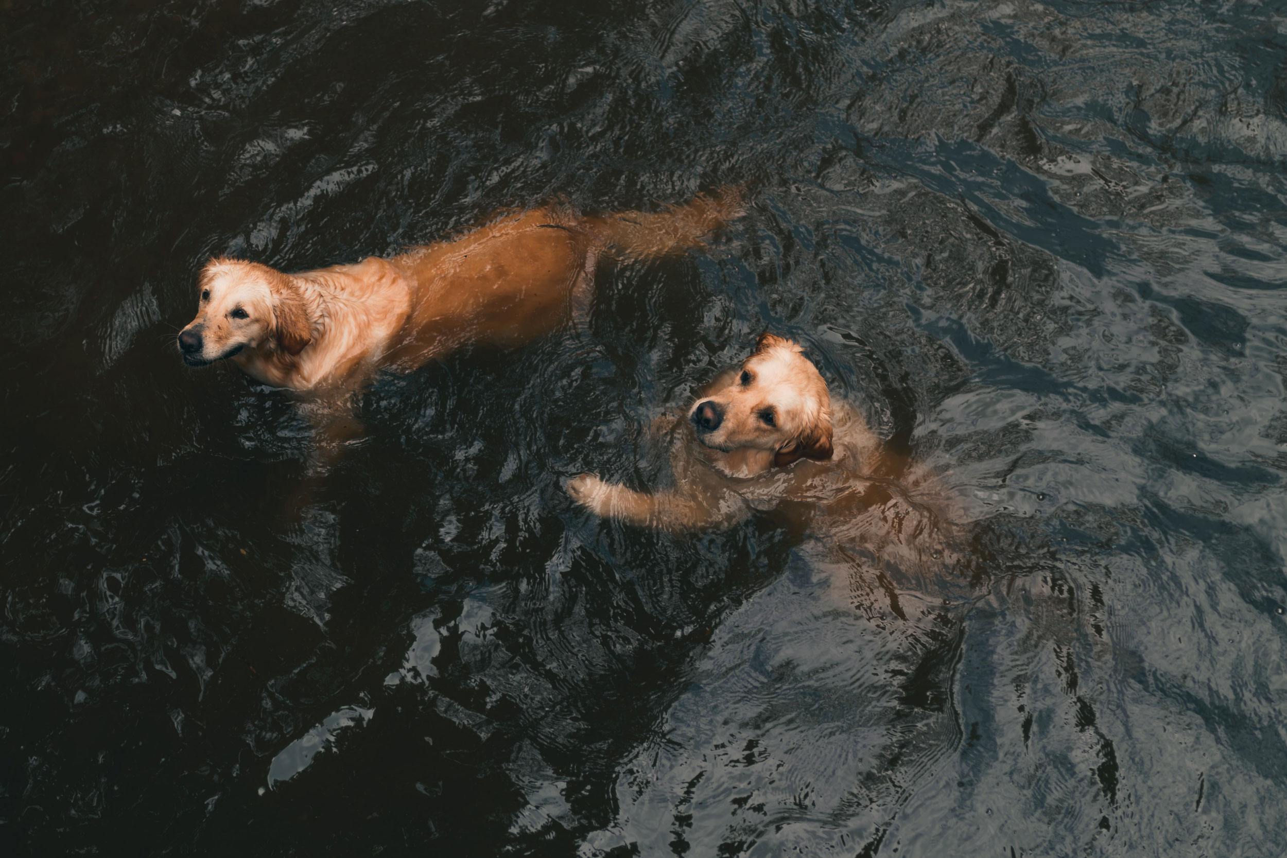 Astro Daily: March 1, 2021