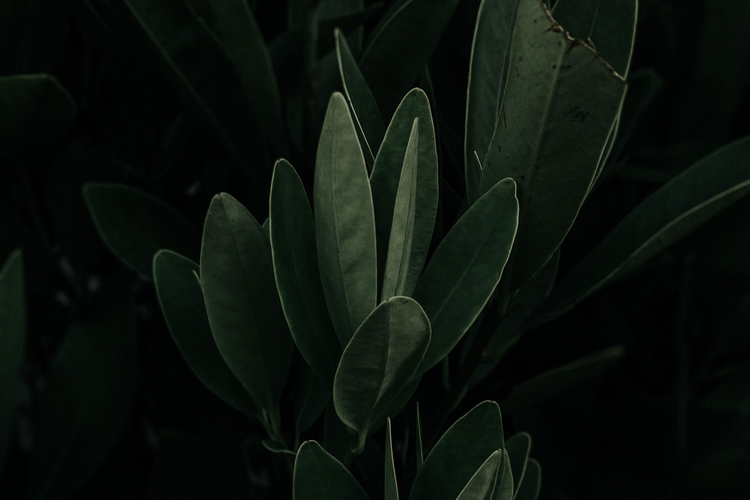 Astro Daily: March 30, 2021