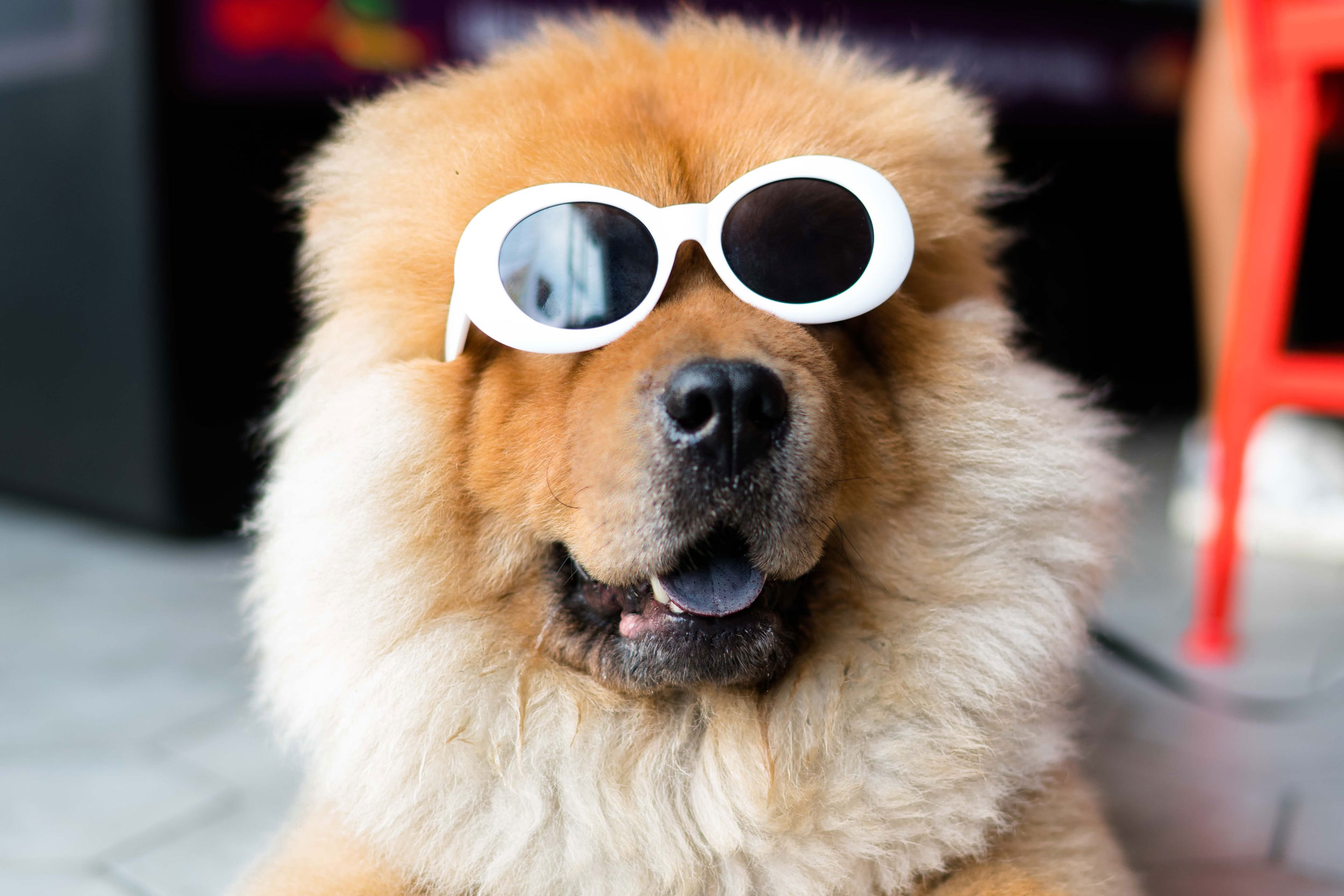 Astro Daily: April 5, 2021