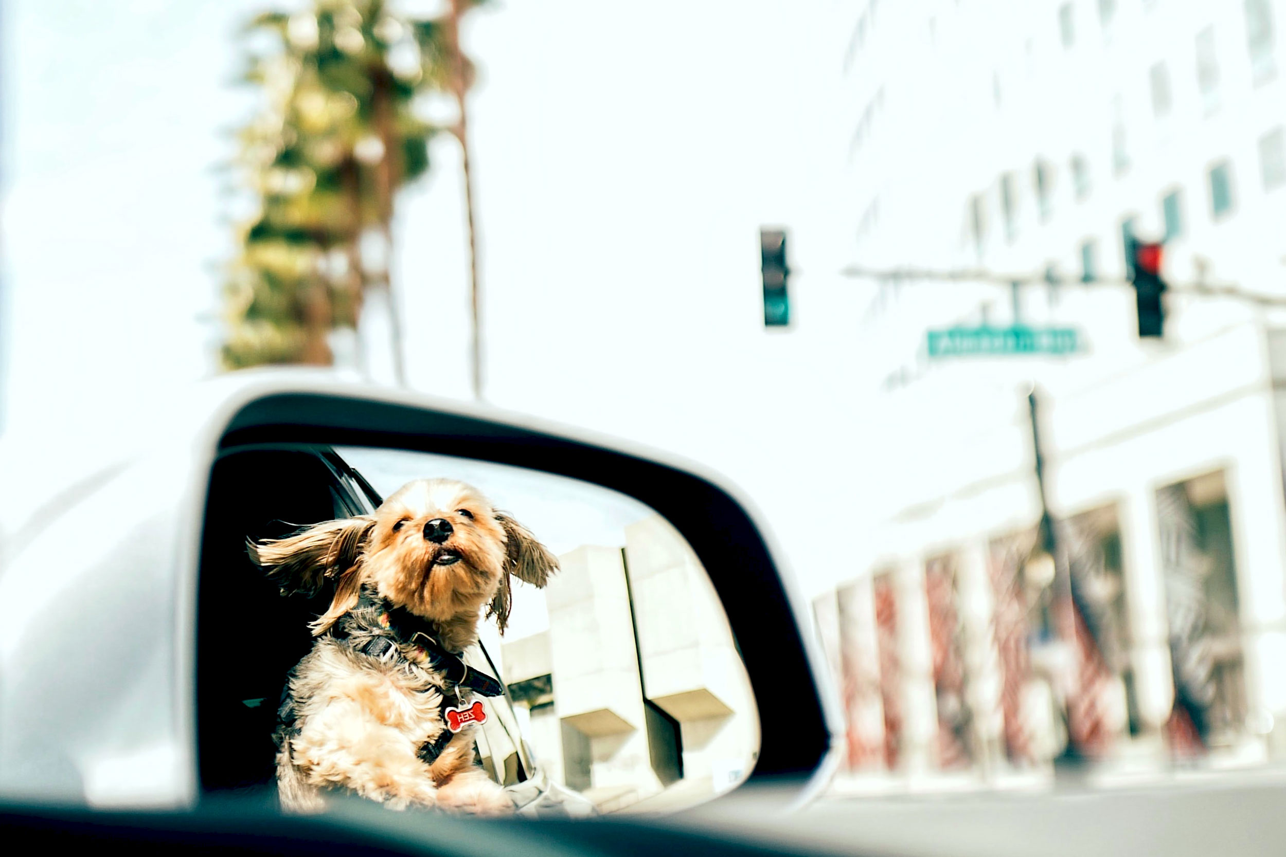 Astro Daily: April 30, 2021