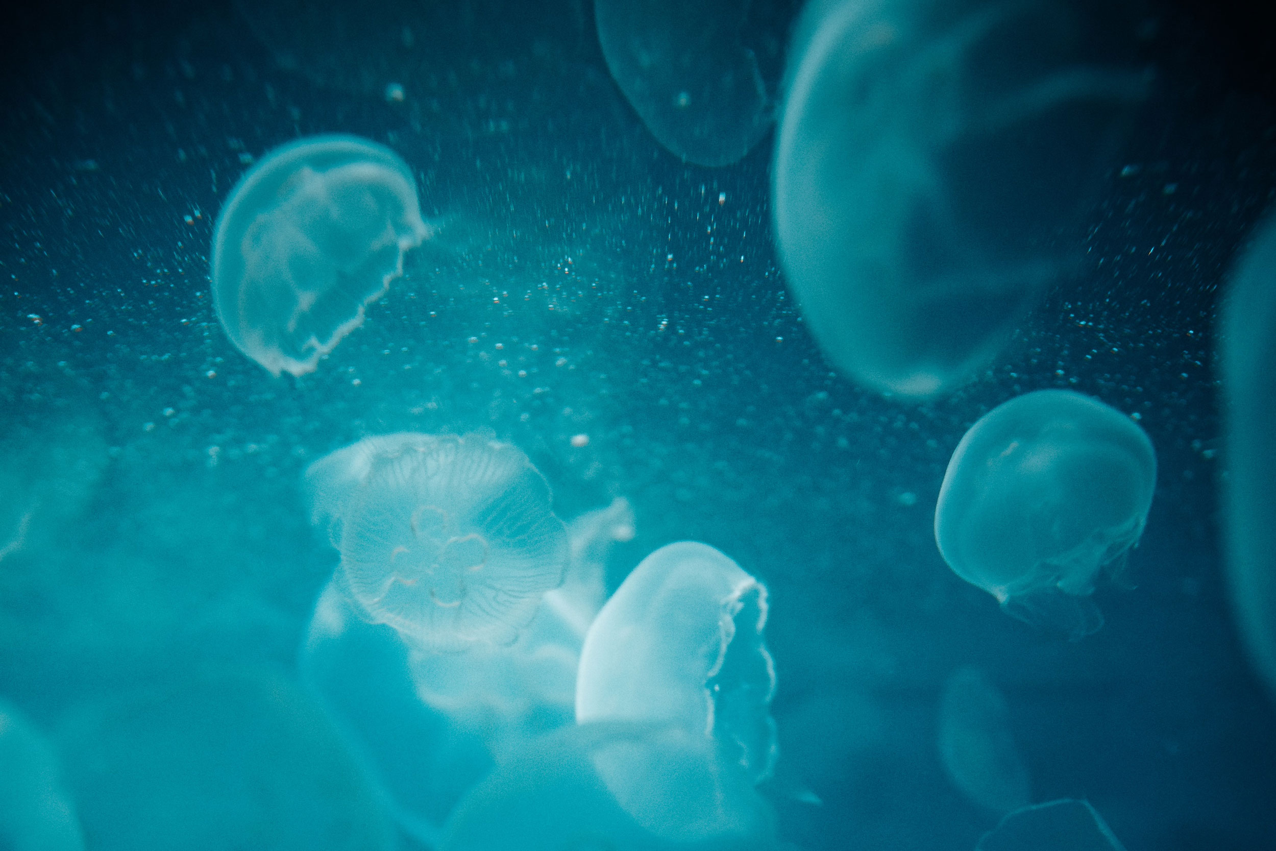 Astro Daily: April 8, 2021