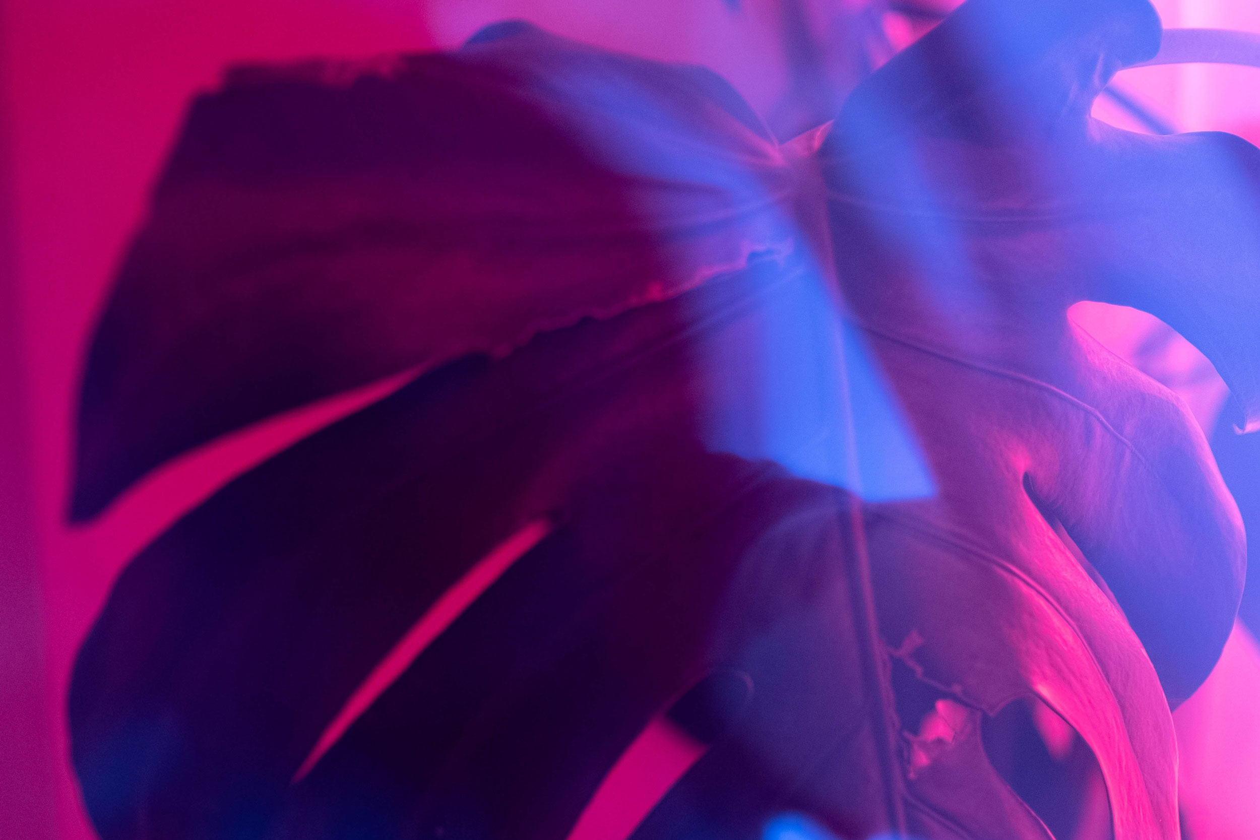 Astro Daily: April 7, 2021